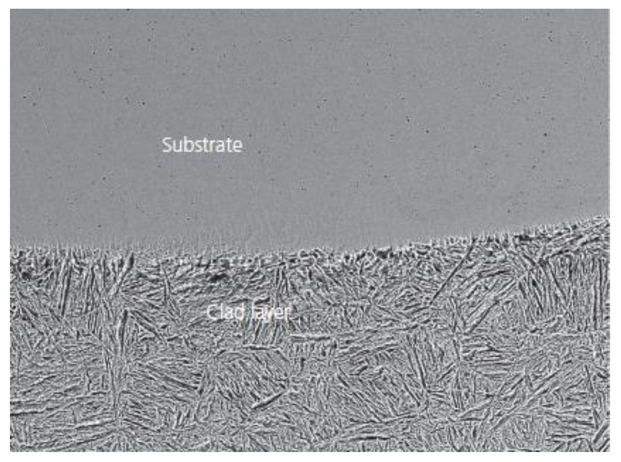 Coatings 12 01444 g011