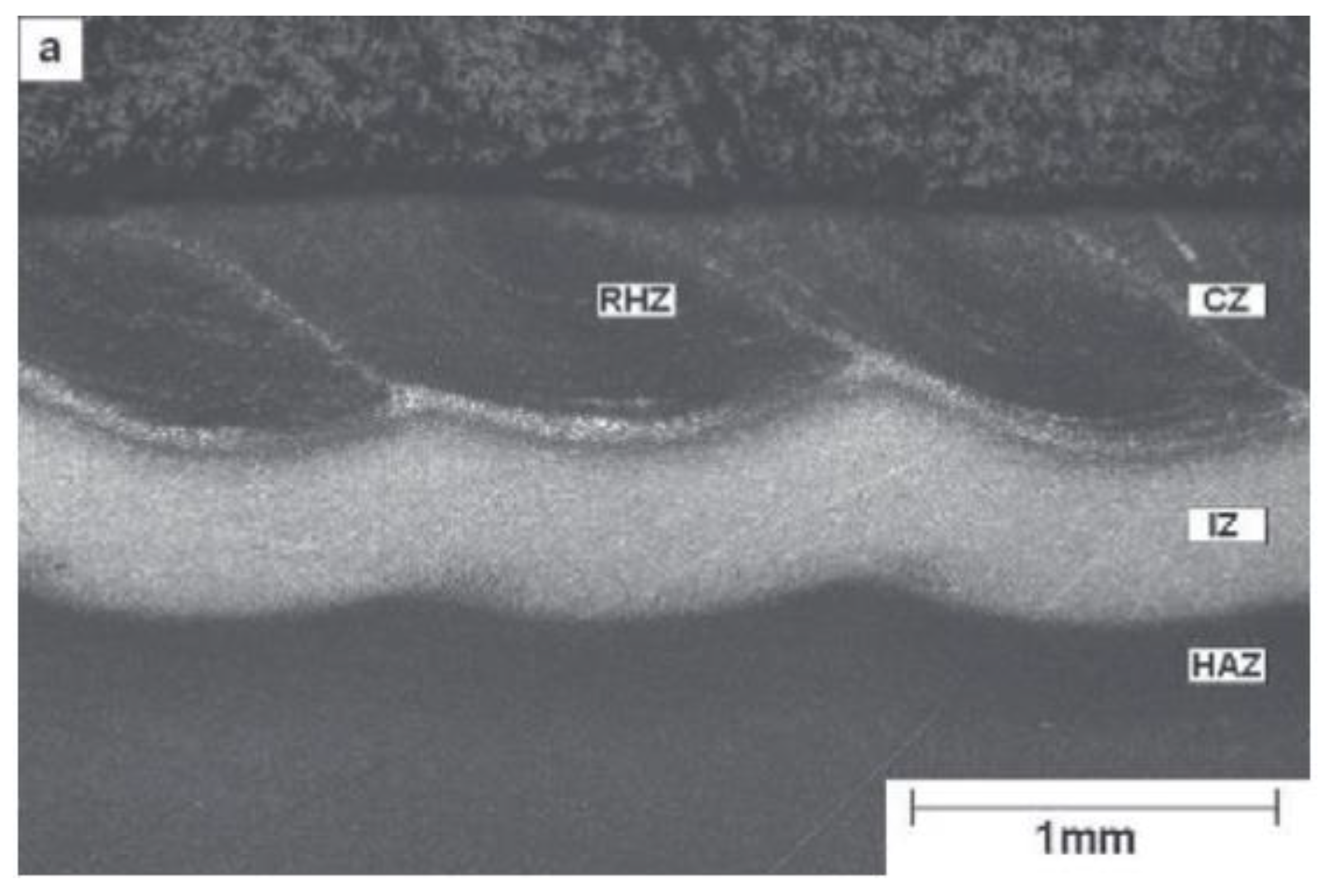 Coatings 12 01444 g012