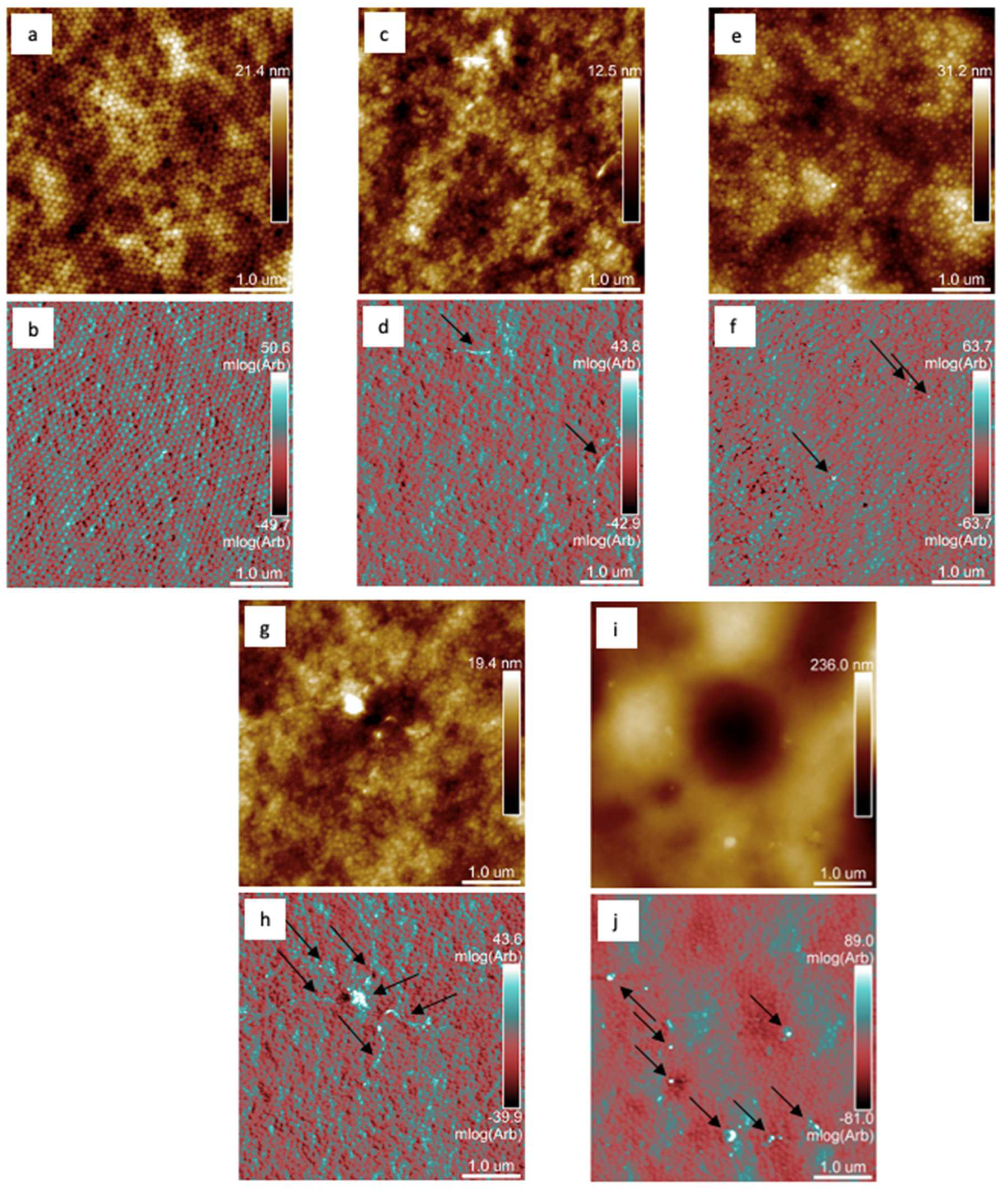 Coatings 12 01445 g004
