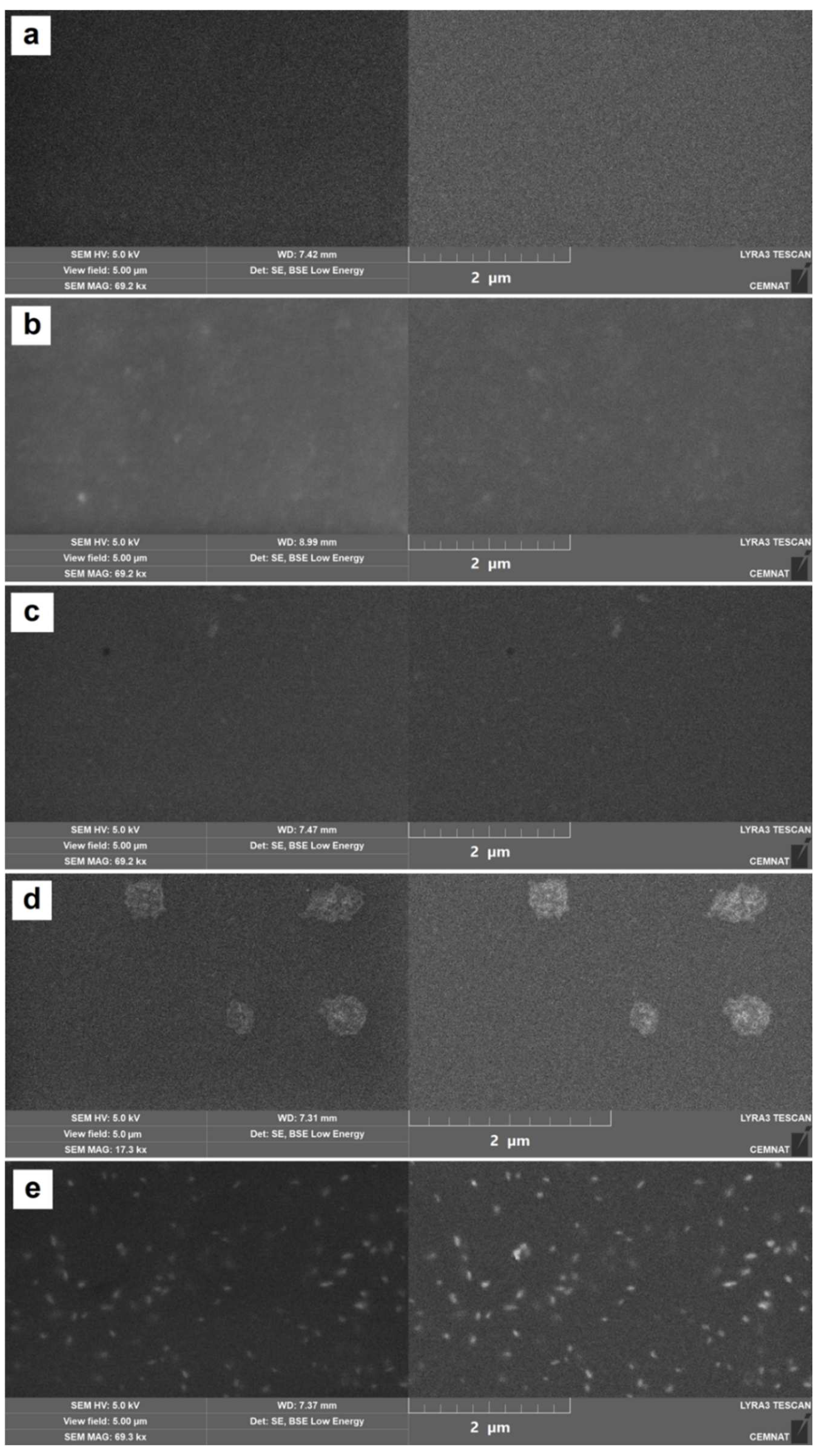 Coatings 12 01445 g005