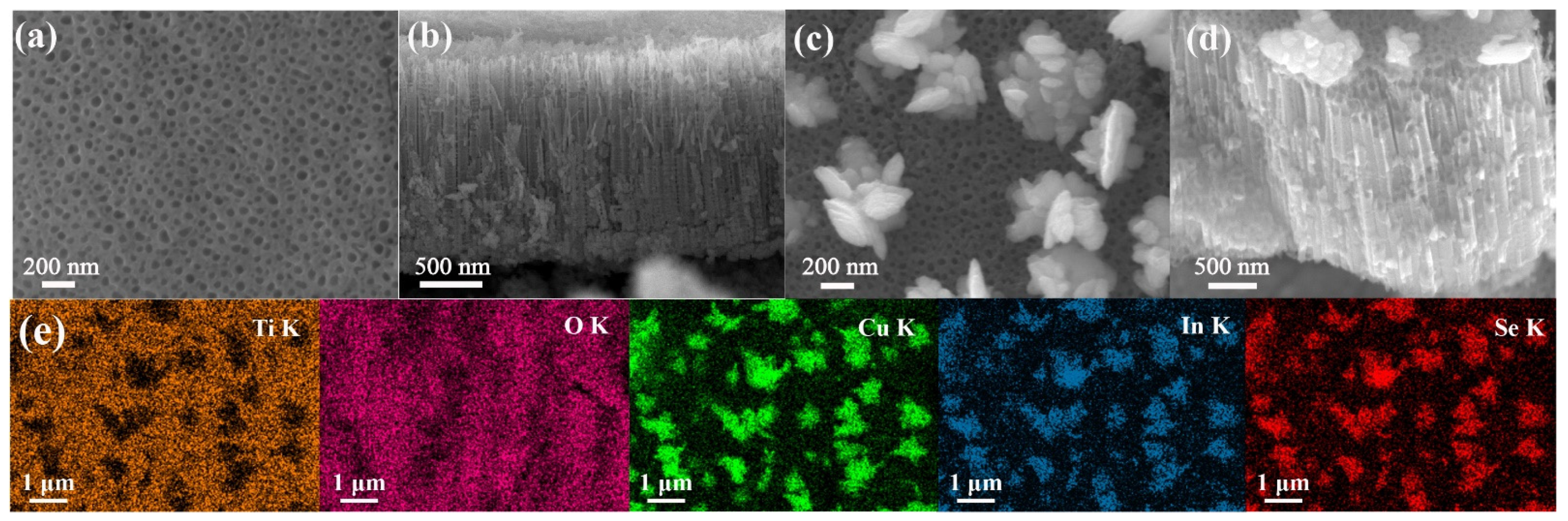 Coatings 12 01448 g002