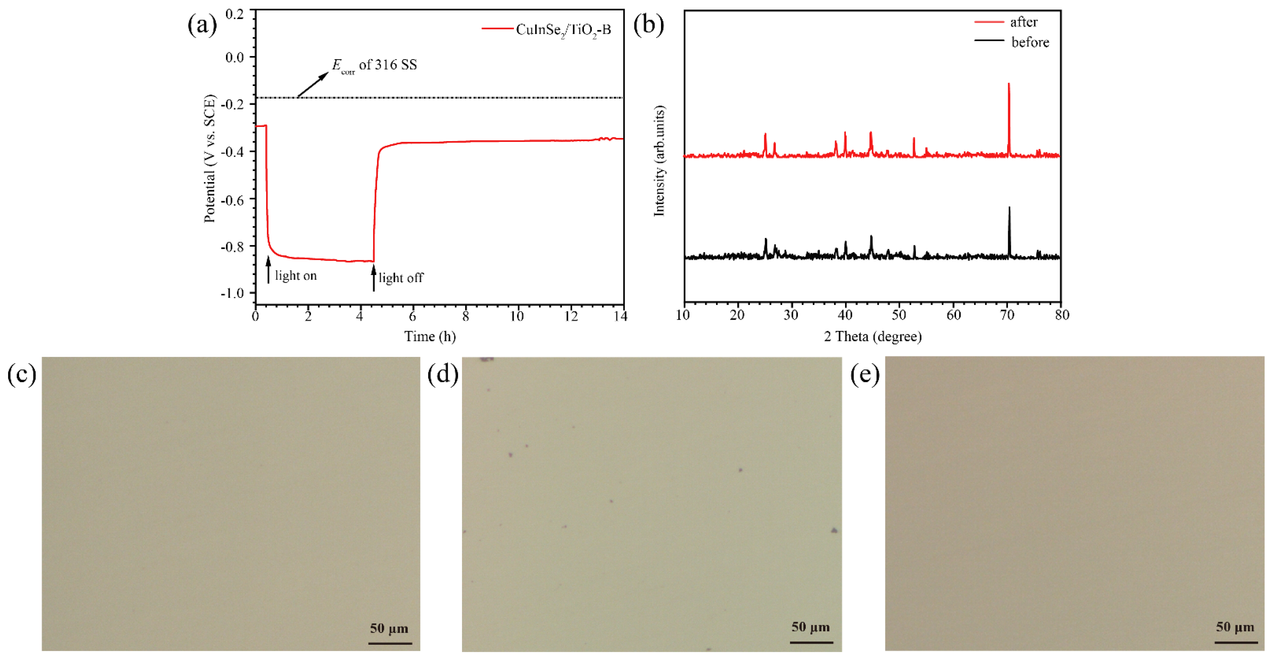 Coatings 12 01448 g009