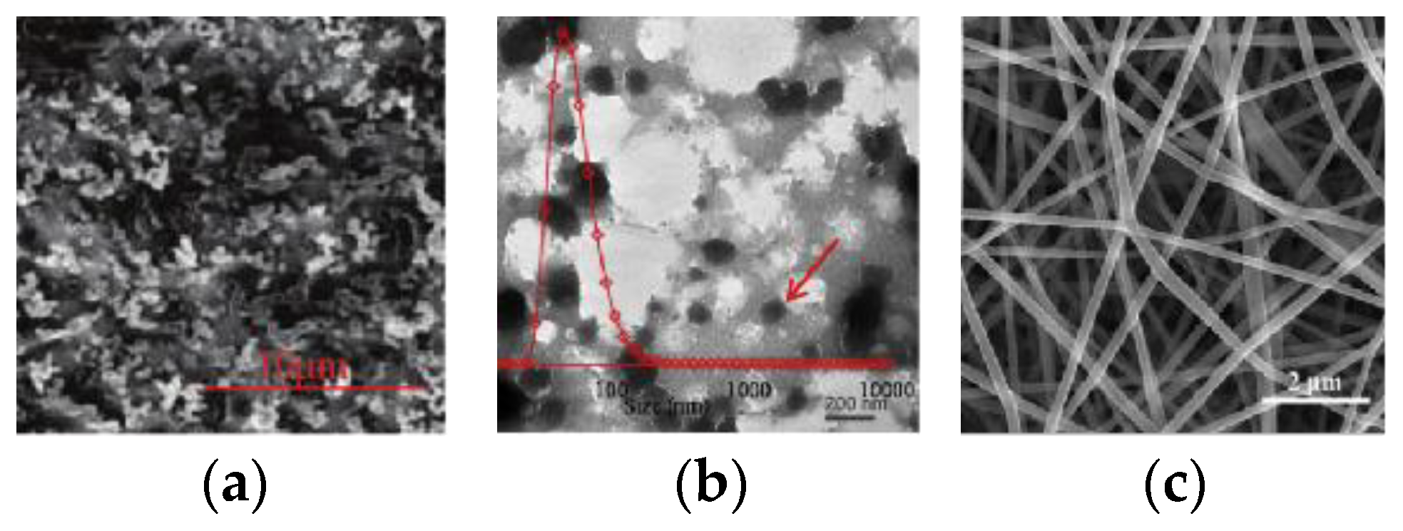 Coatings 12 01449 g003a Coatings 12 01449 g003a