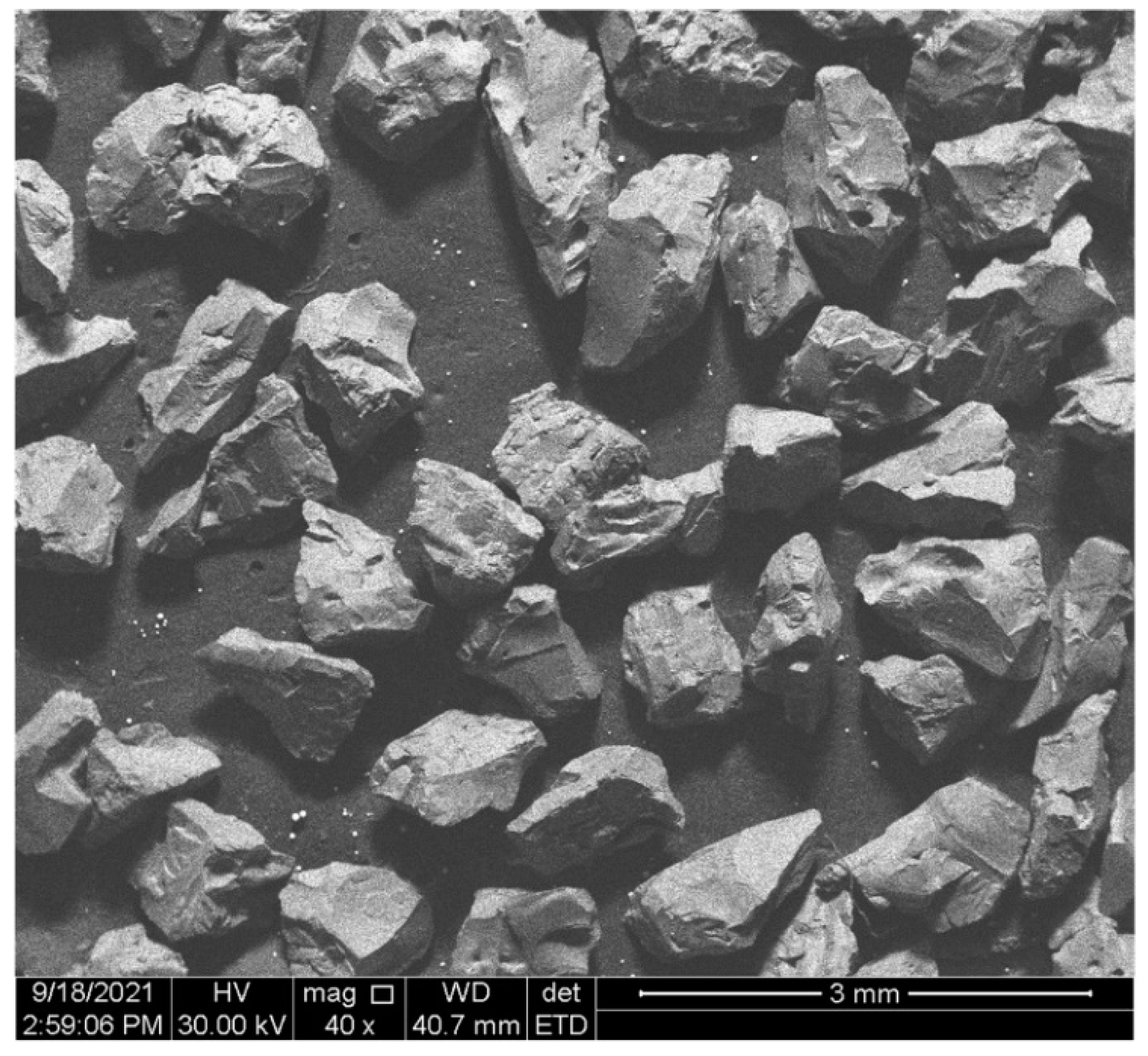 Coatings 12 01451 g002