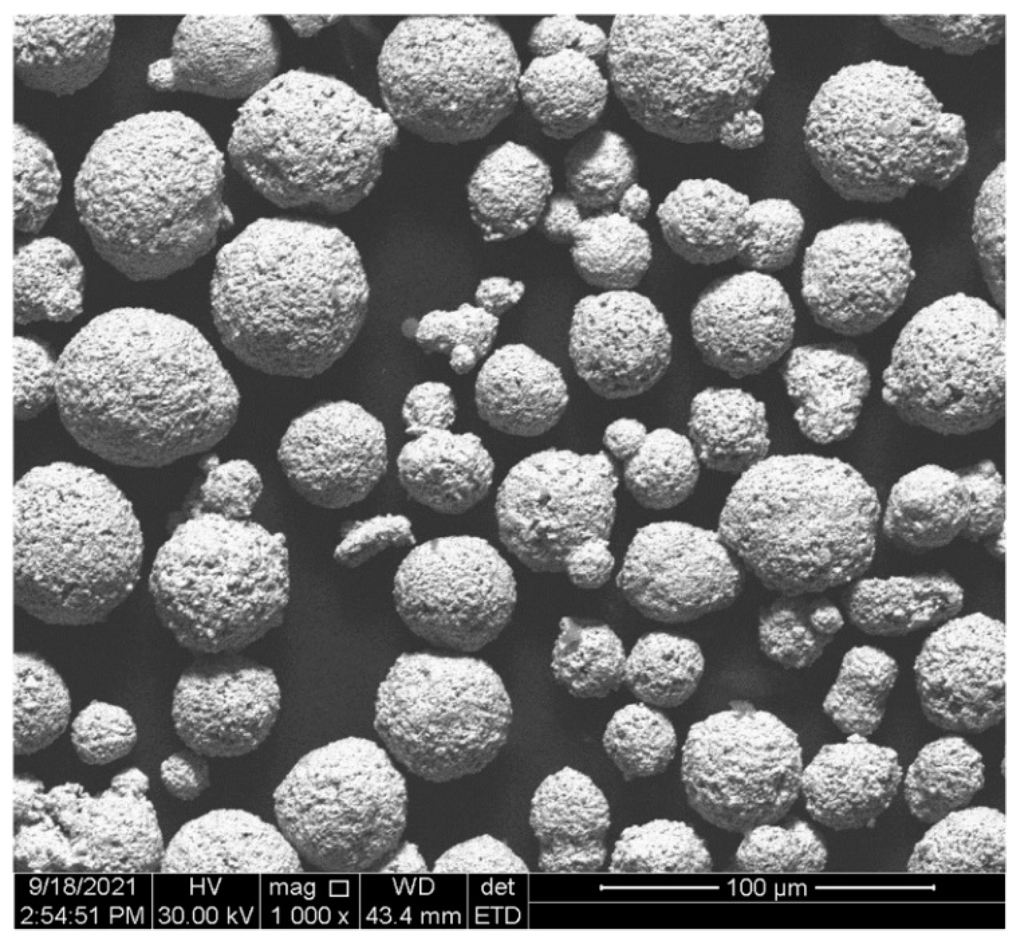 Coatings 12 01451 g003