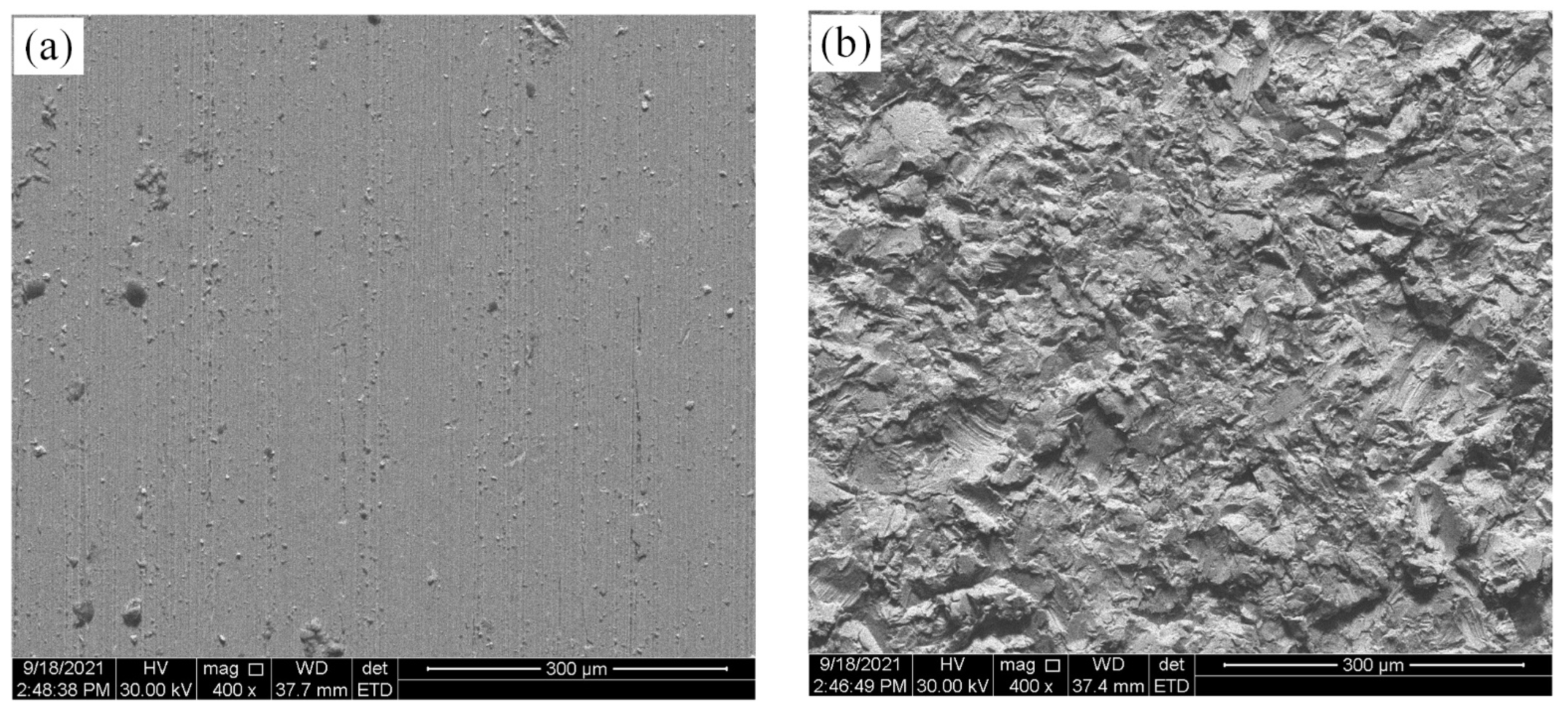 Coatings 12 01451 g006