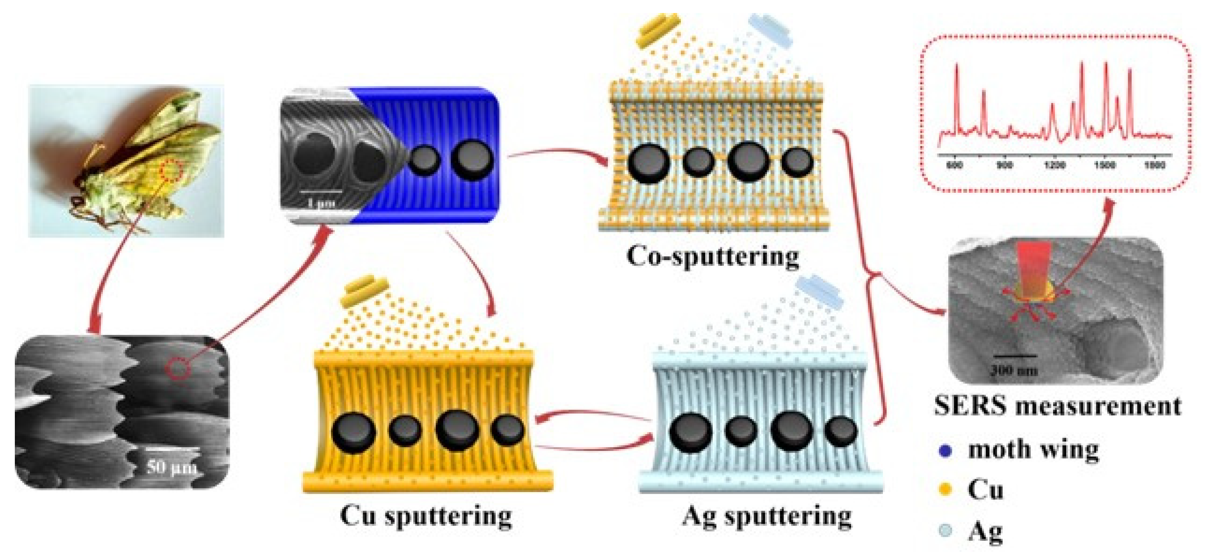 Coatings 12 01457 g001 Coatings 12 01457 g001