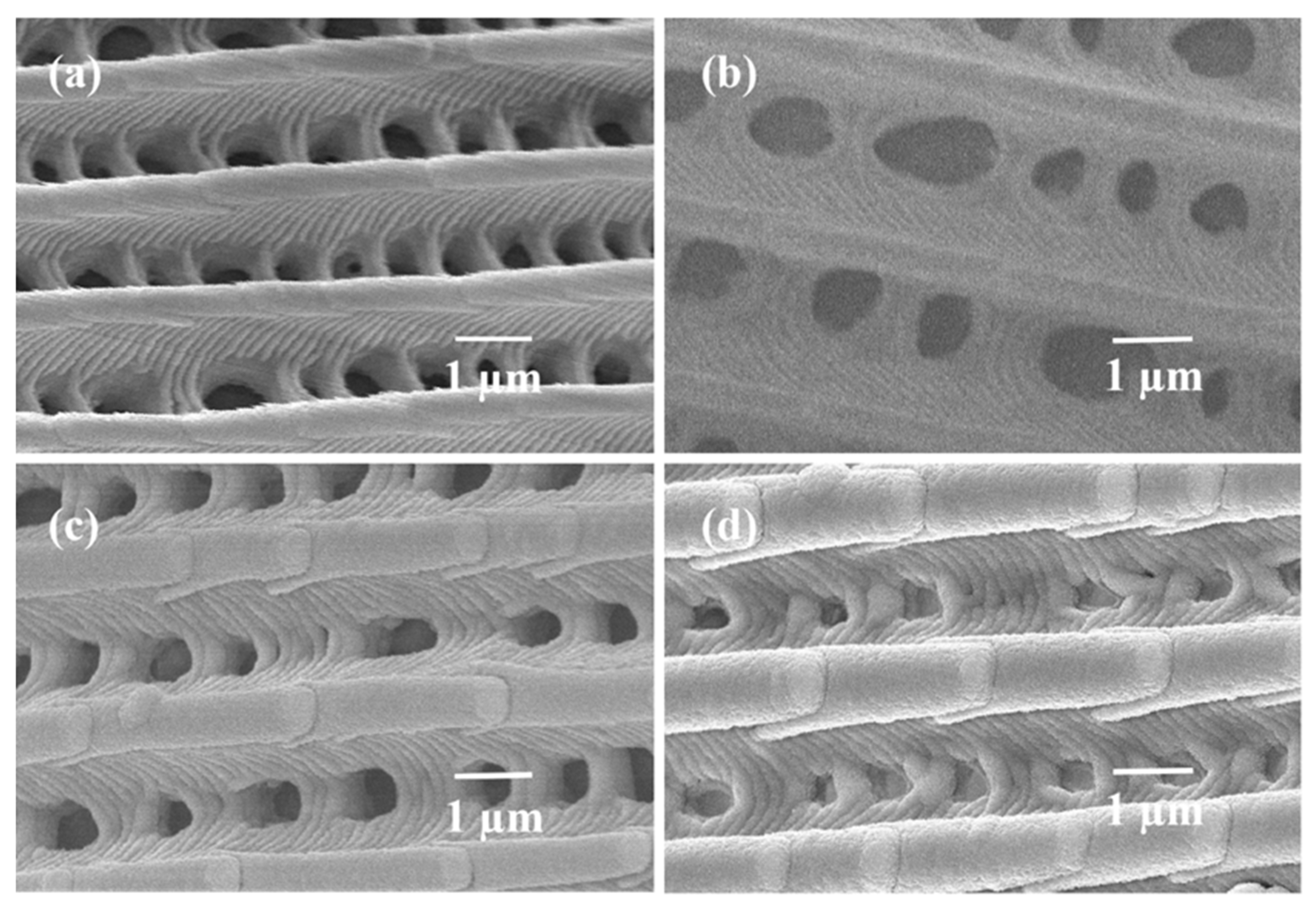 Coatings 12 01457 g003 Coatings 12 01457 g003