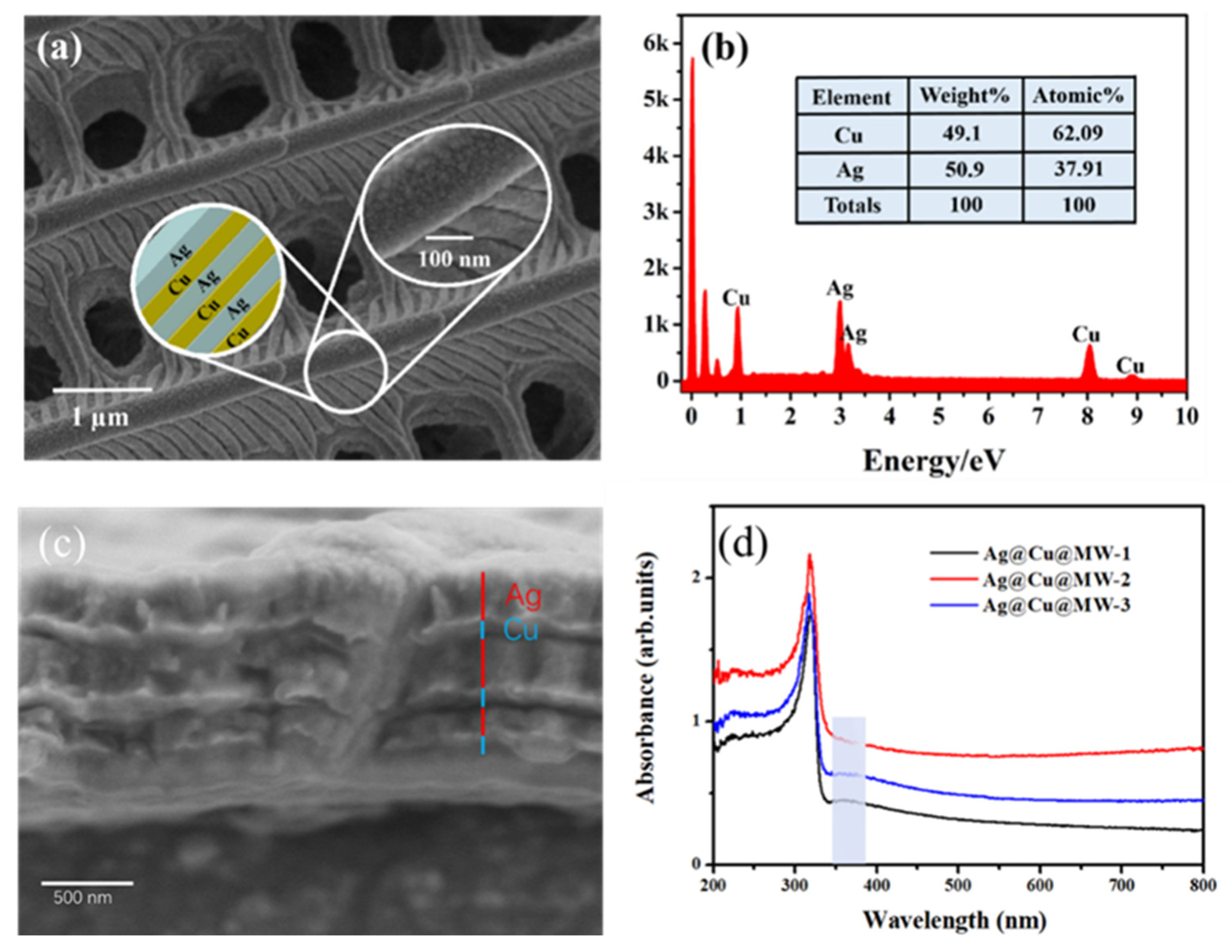 Coatings 12 01457 g004 Coatings 12 01457 g004