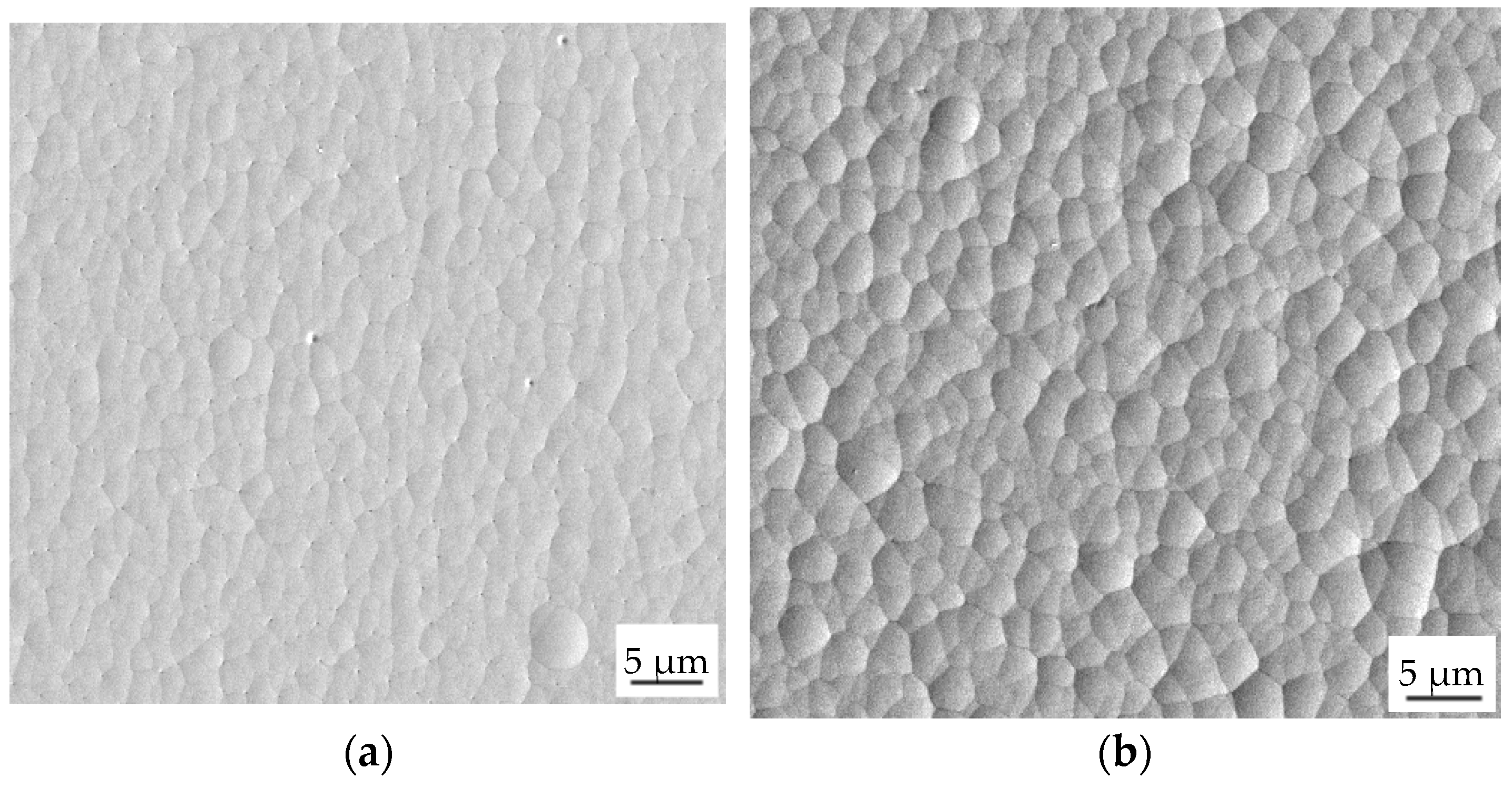 Coatings 12 01458 g003a