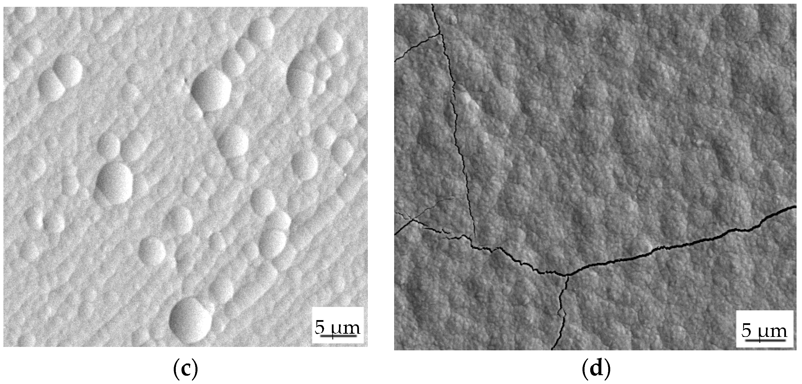 Coatings 12 01458 g003b