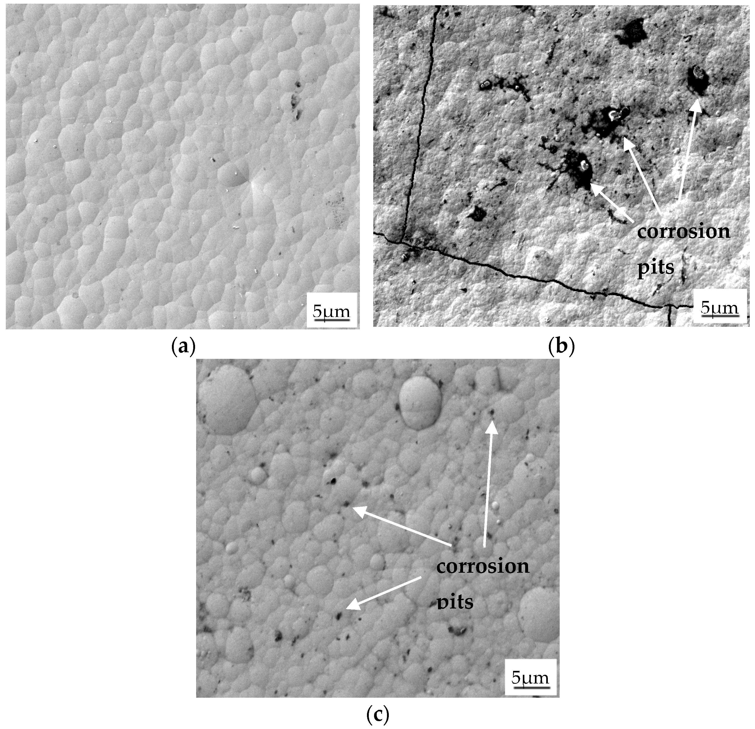 Coatings 12 01458 g010