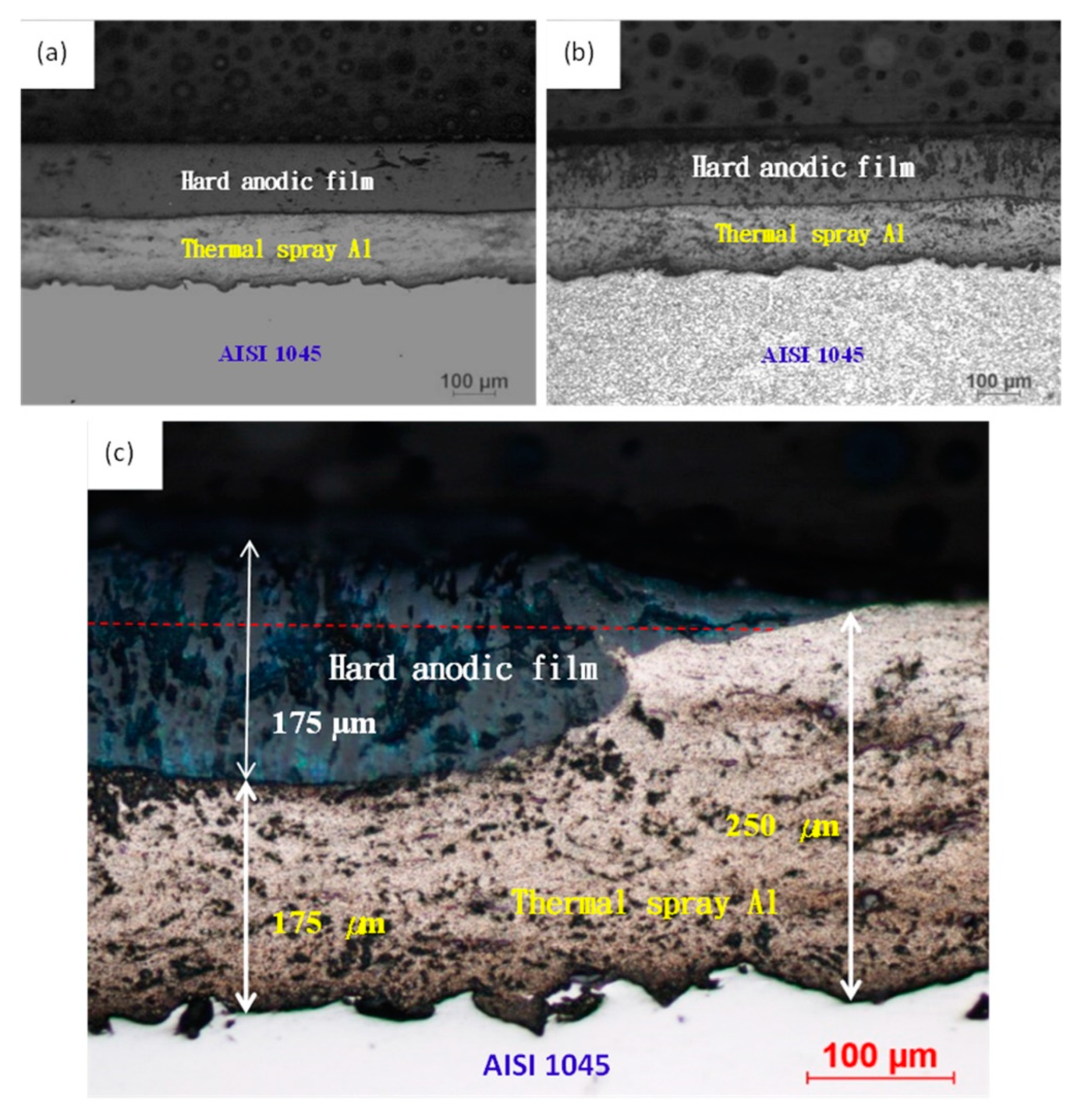 Coatings 12 01459 g011