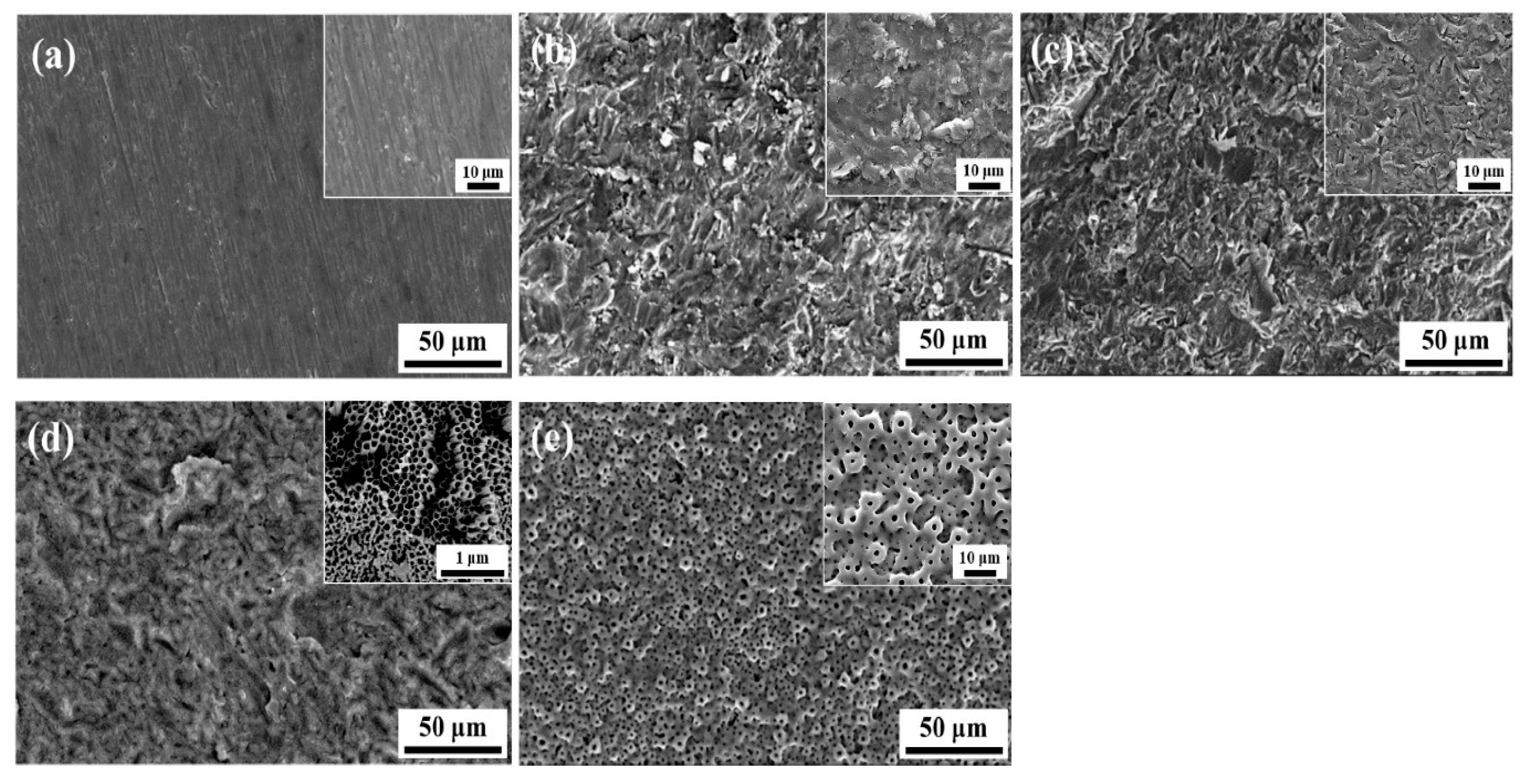 Coatings 12 01459 g026