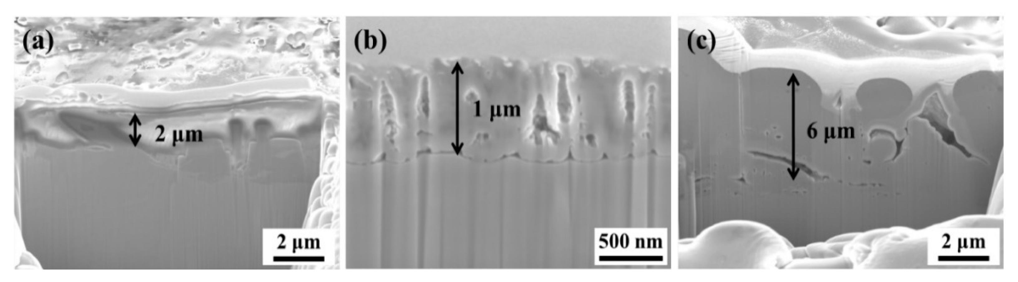 Coatings 12 01459 g027