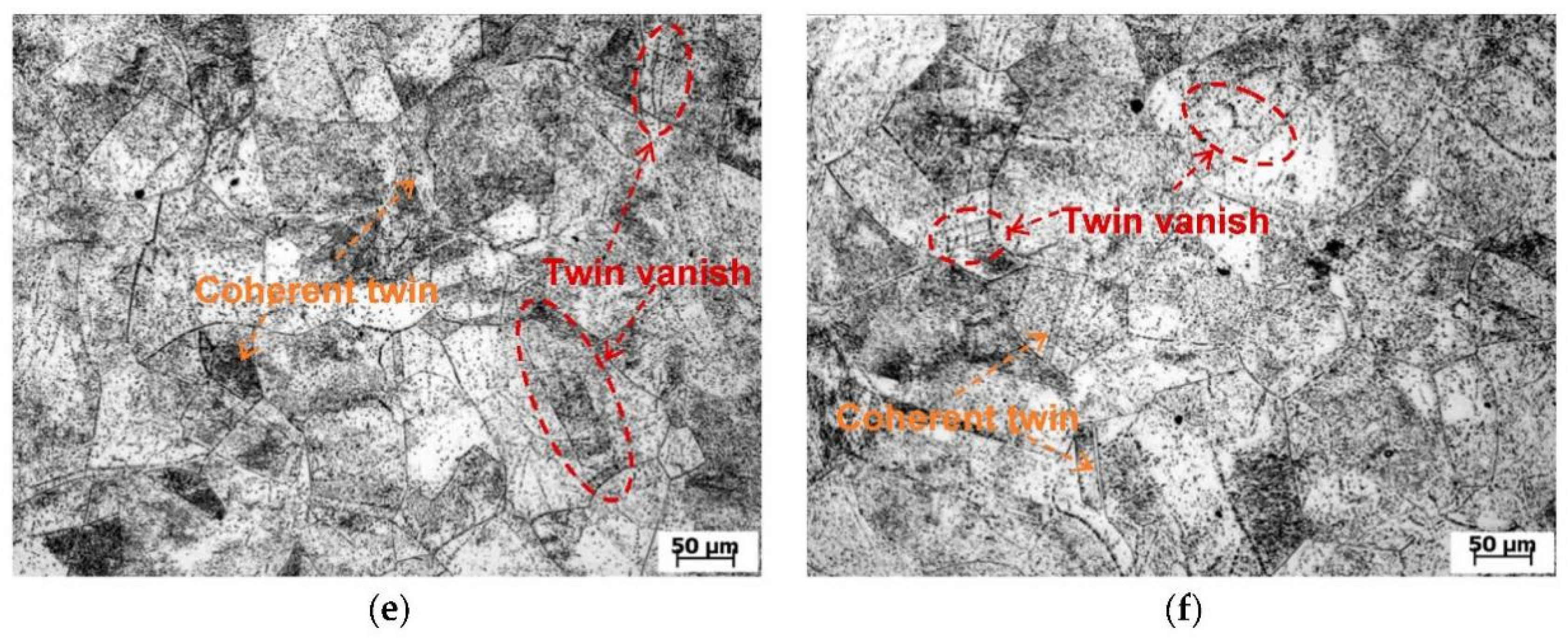 Coatings 12 01461 g001b
