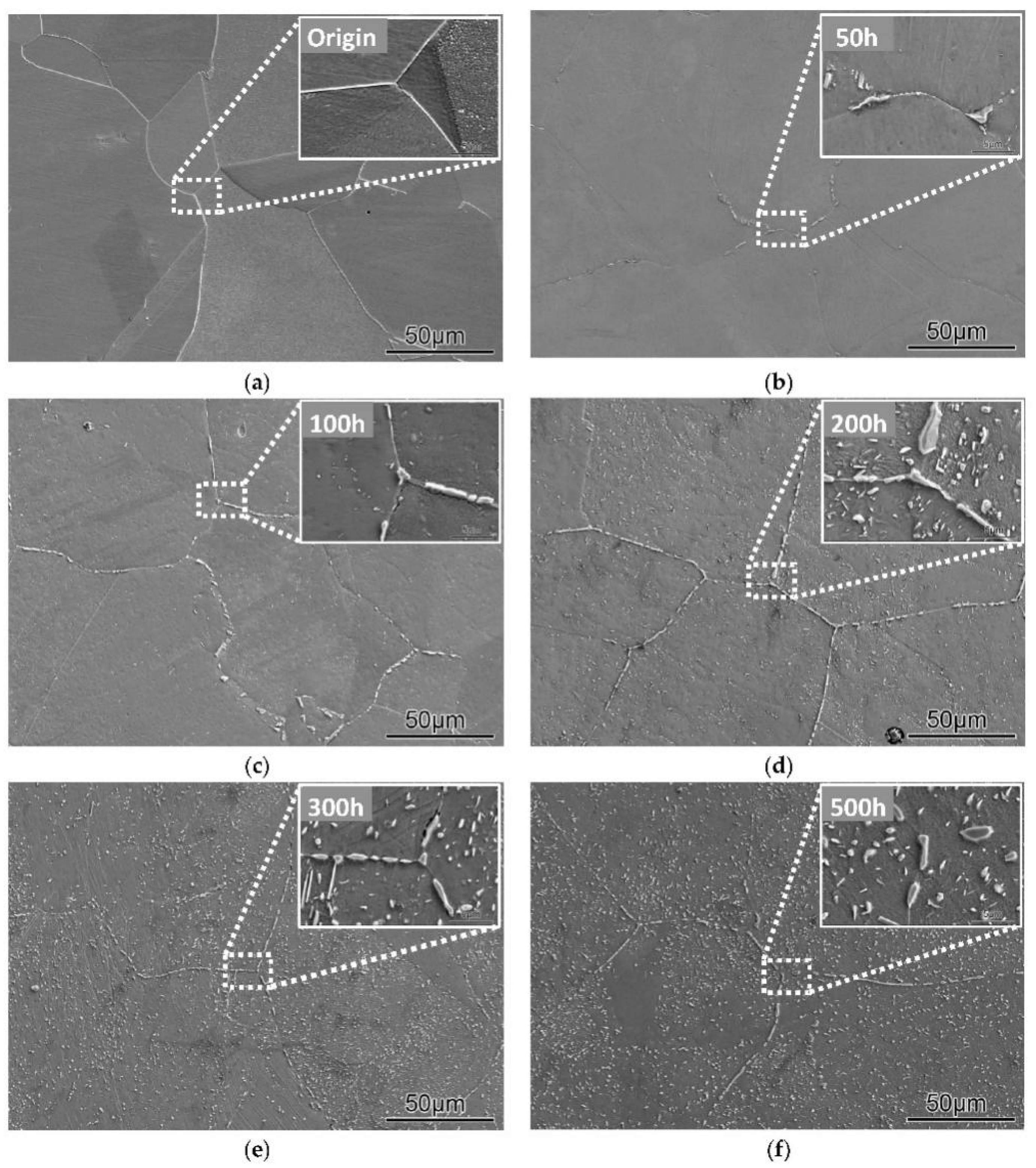 Coatings 12 01461 g002