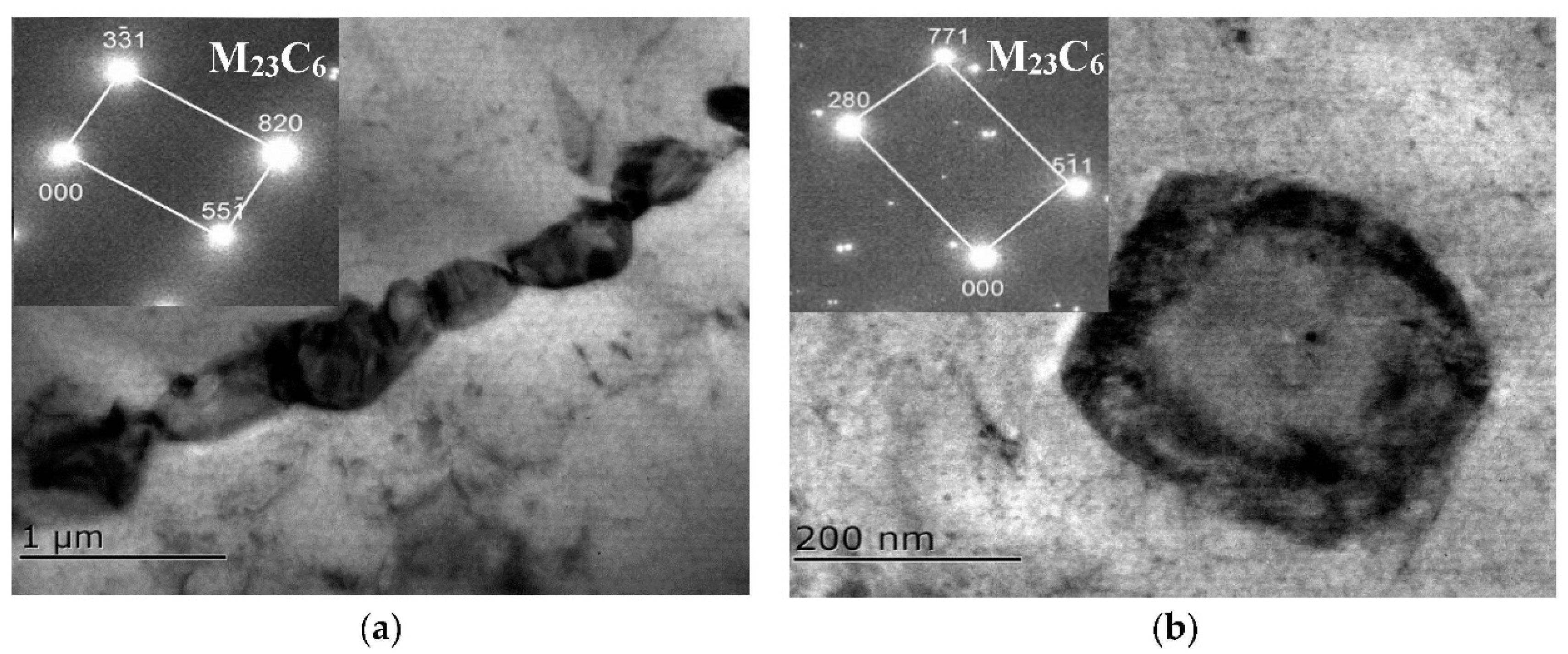 Coatings 12 01461 g004