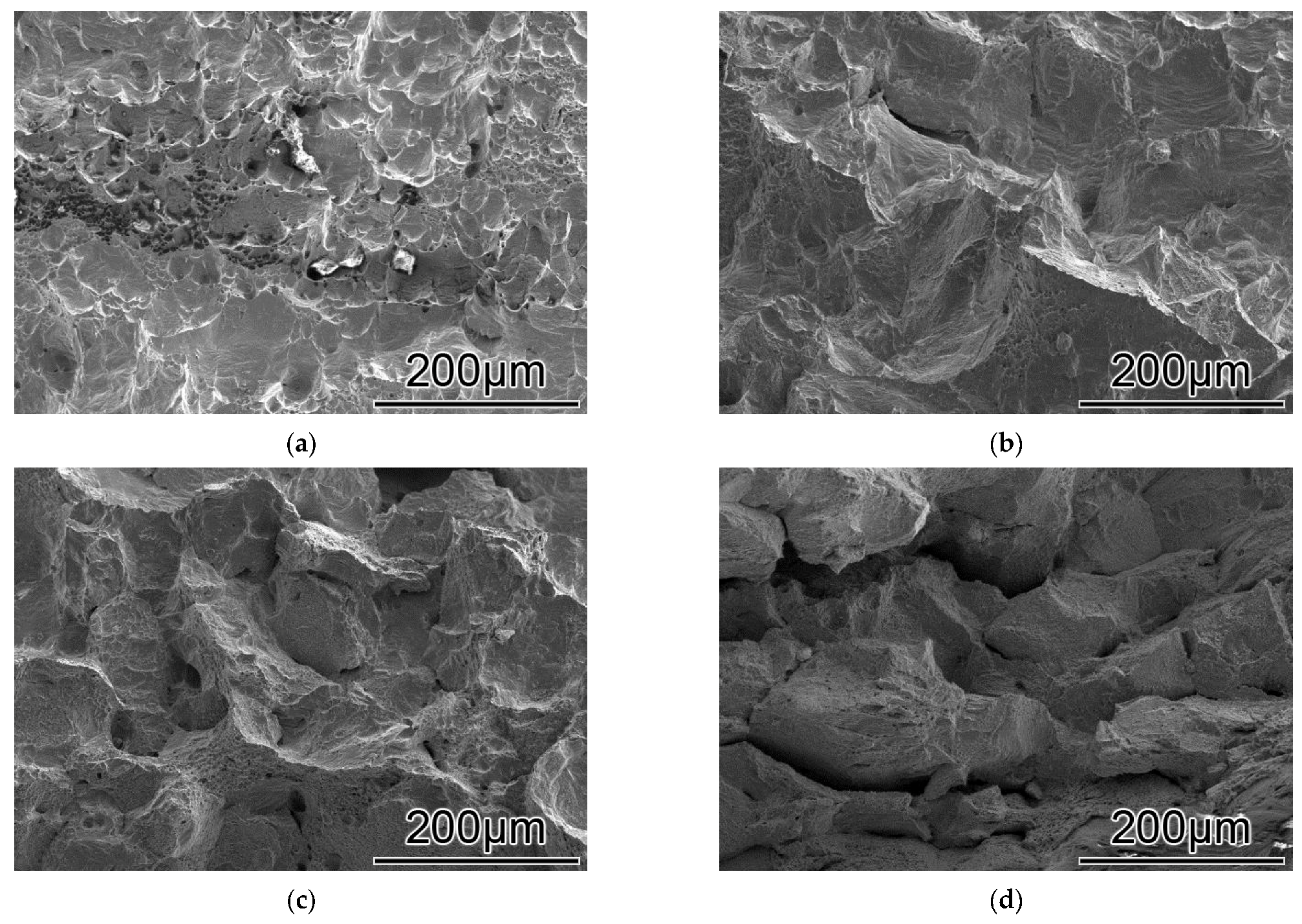 Coatings 12 01461 g006a