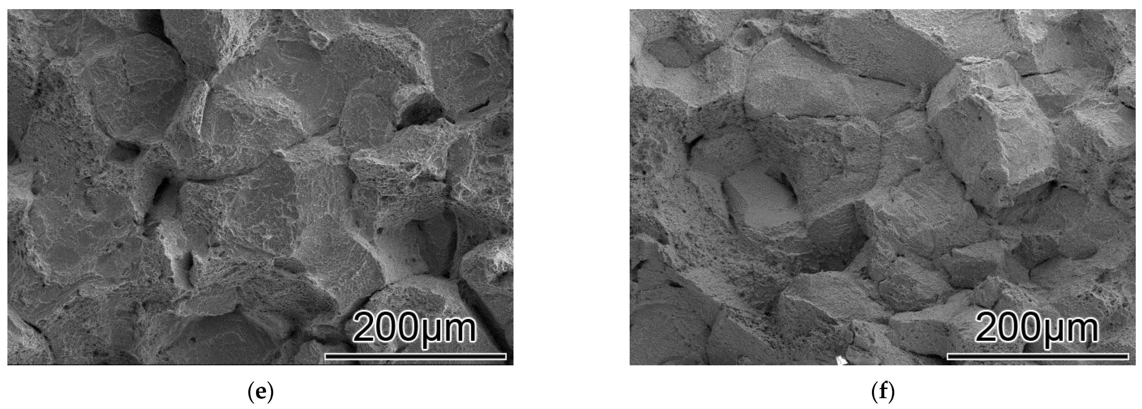 Coatings 12 01461 g006b