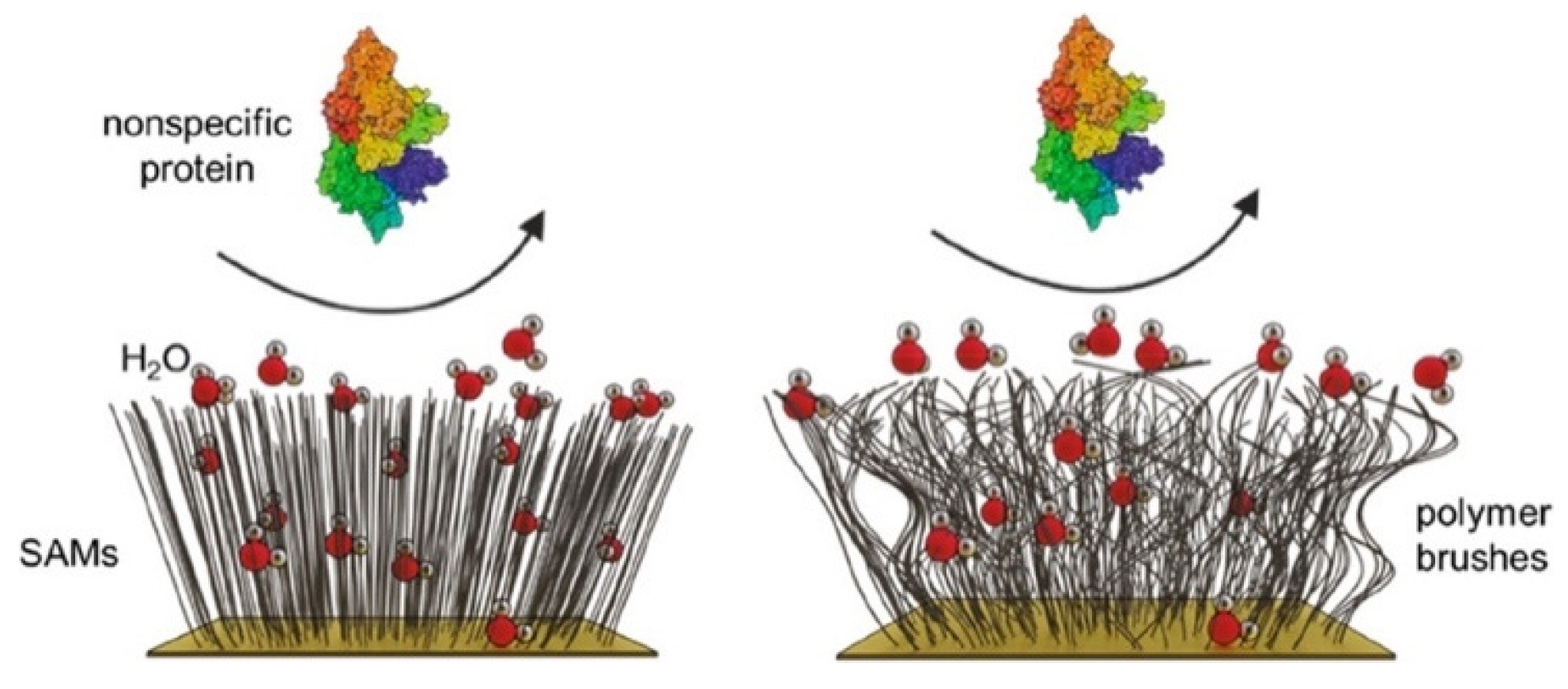 Coatings 12 01462 g002