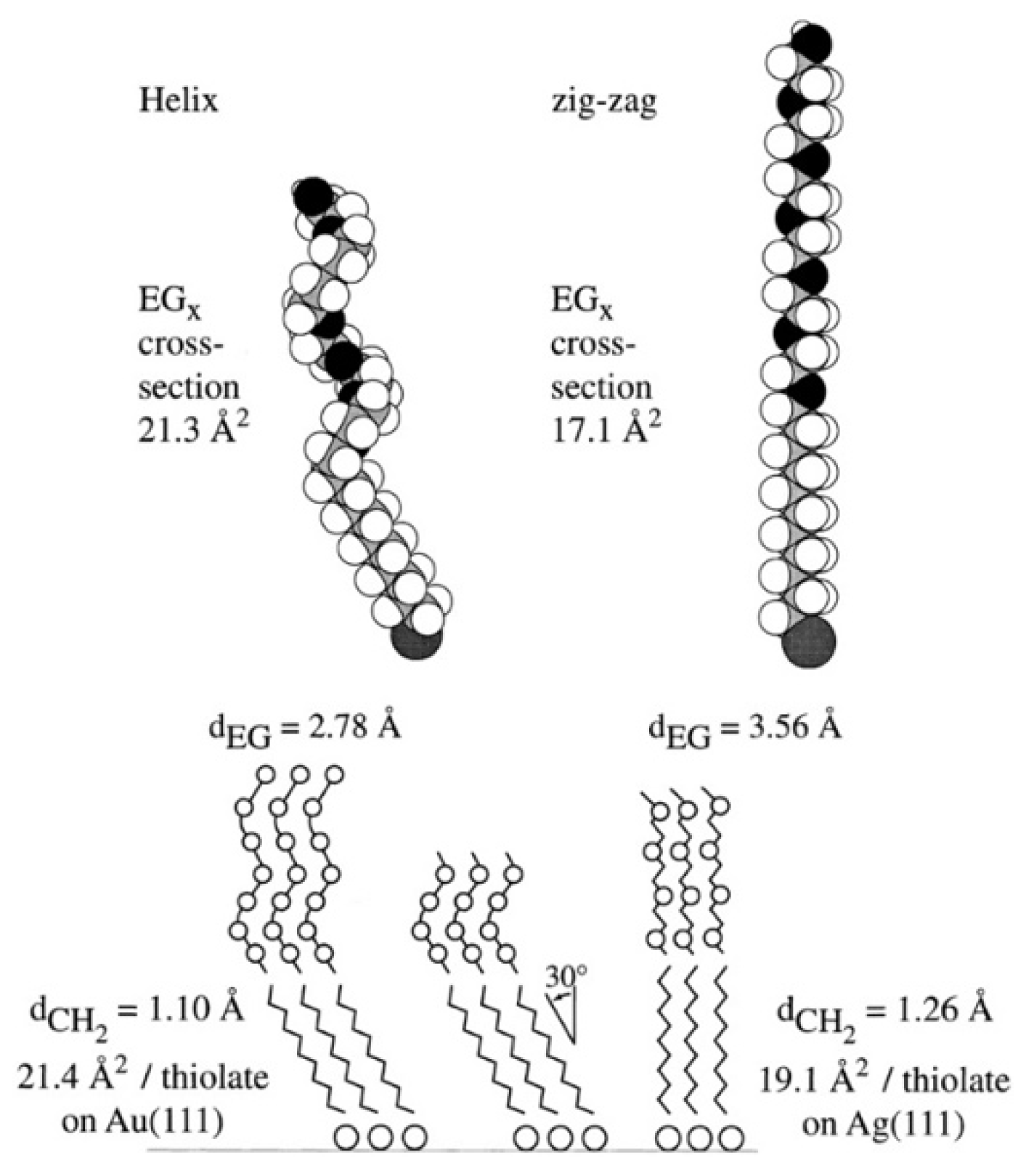 Coatings 12 01462 g003