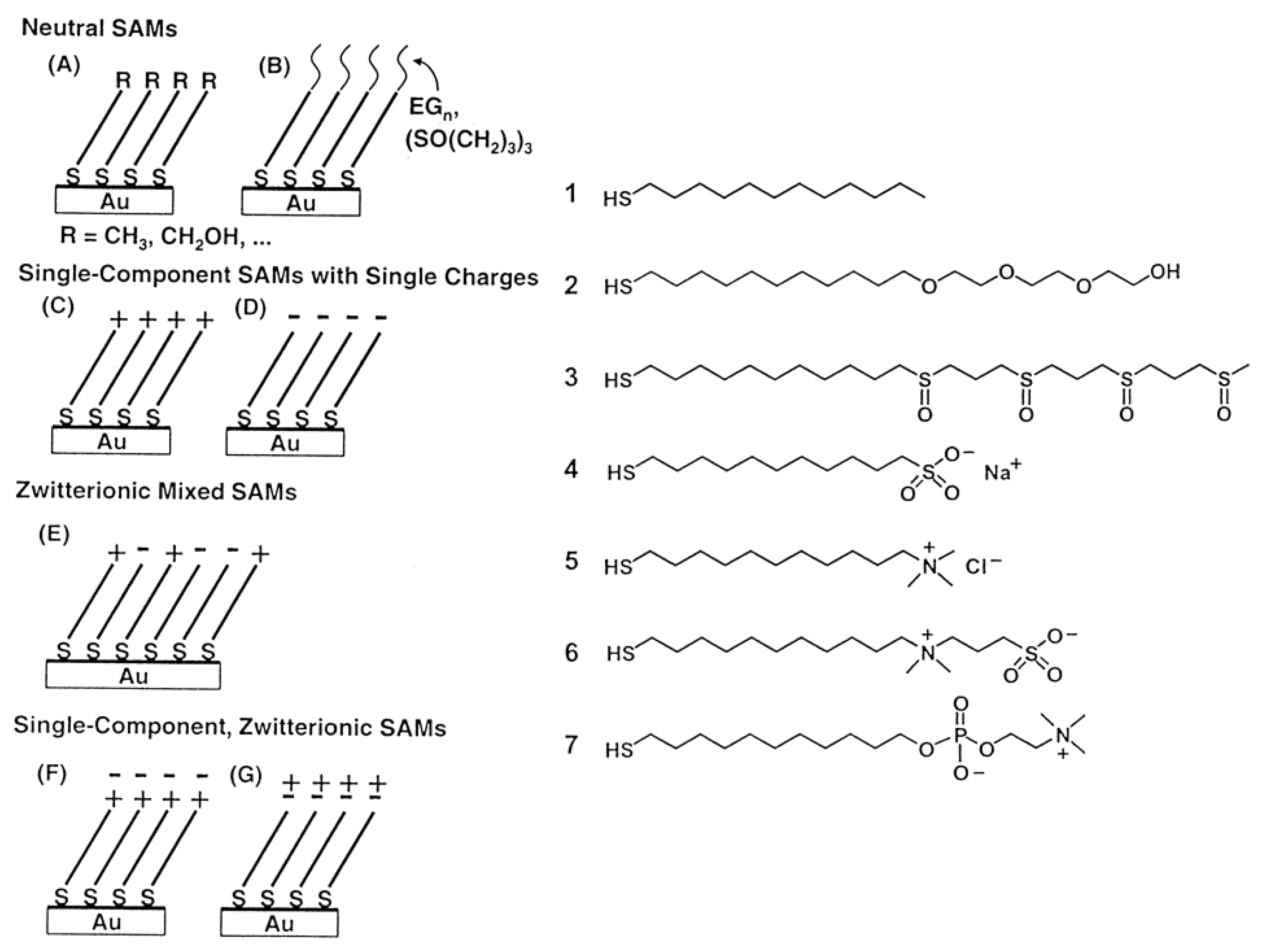 Coatings 12 01462 g004
