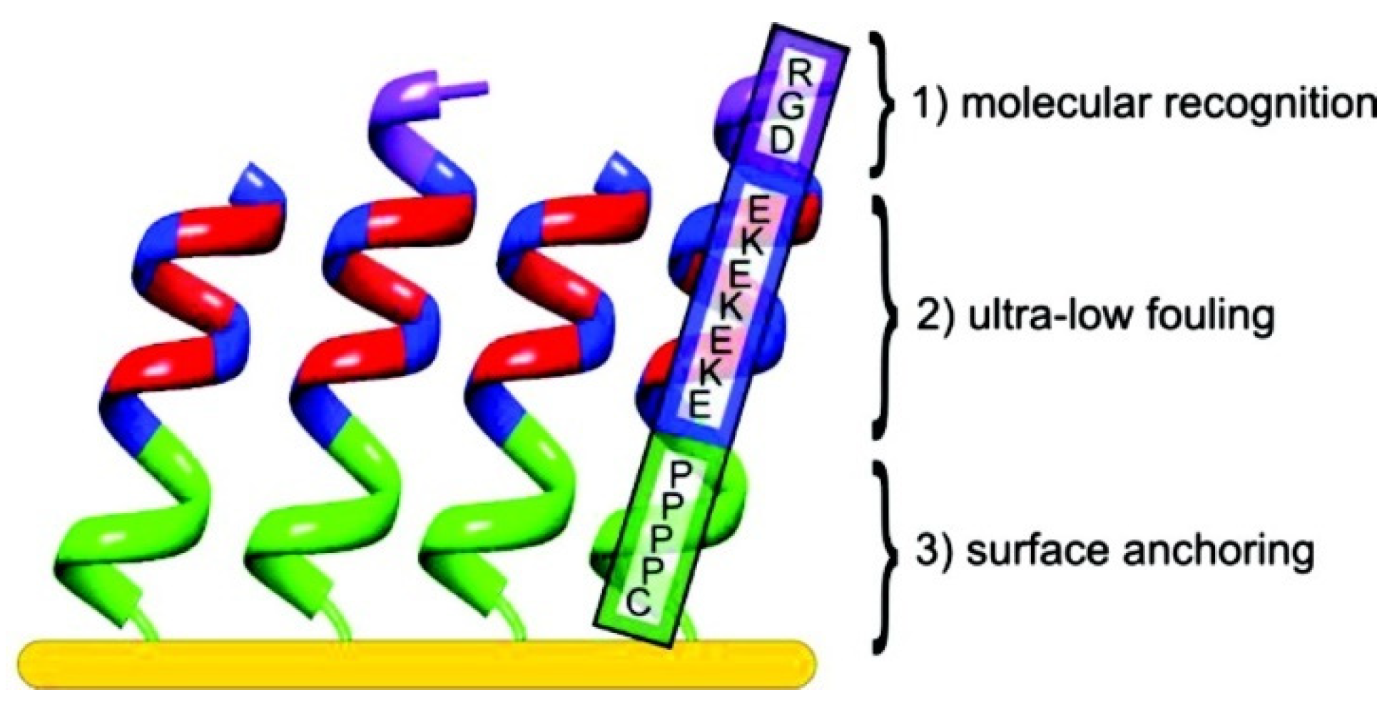 Coatings 12 01462 g007