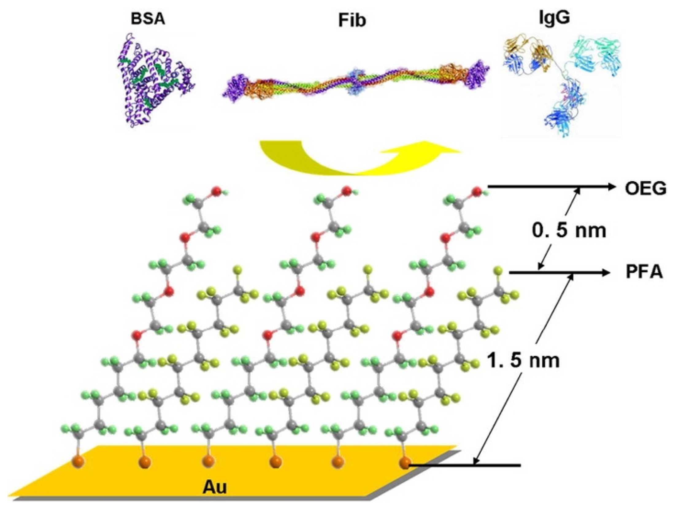 Coatings 12 01462 g012