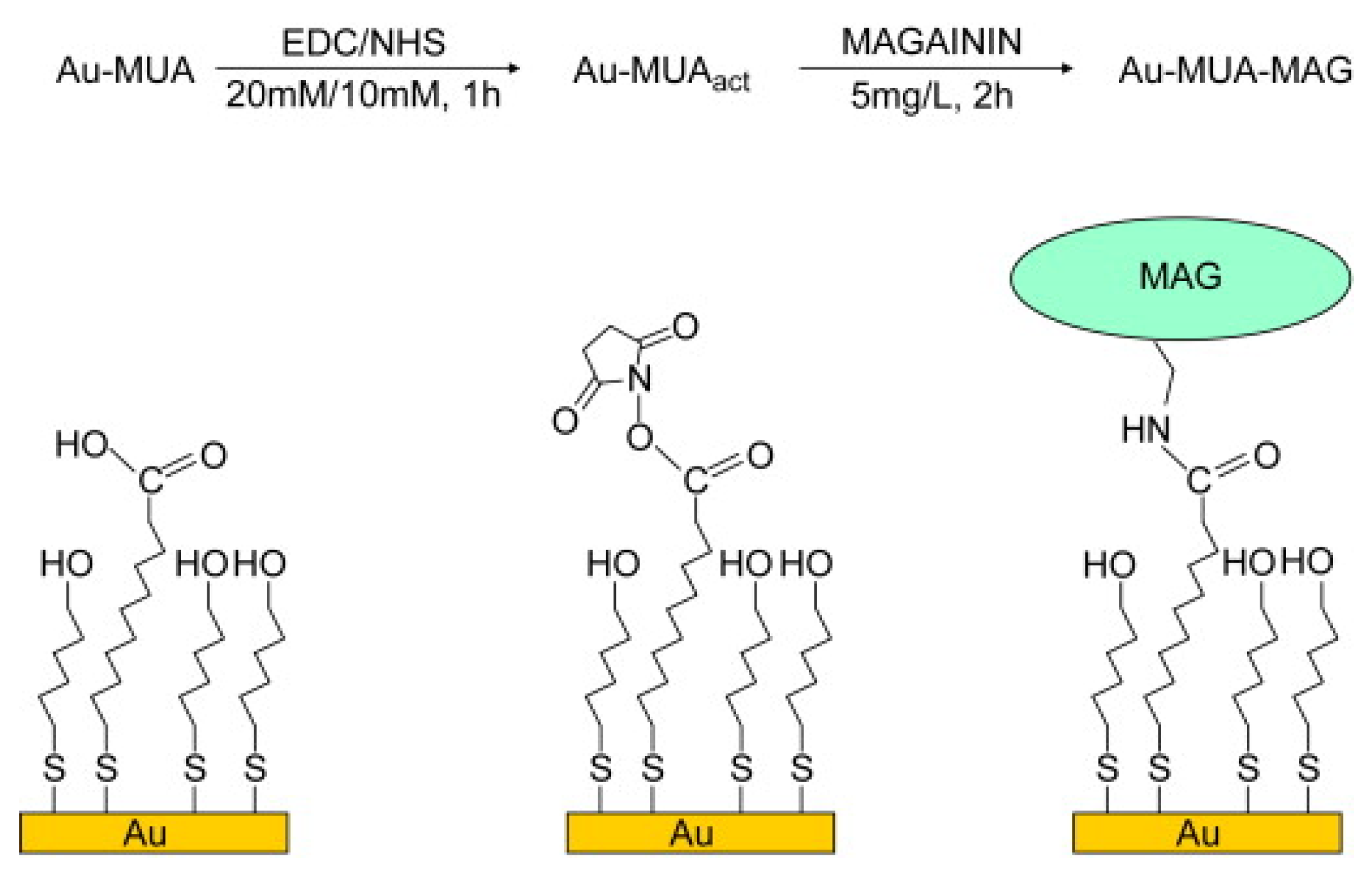 Coatings 12 01462 sch001