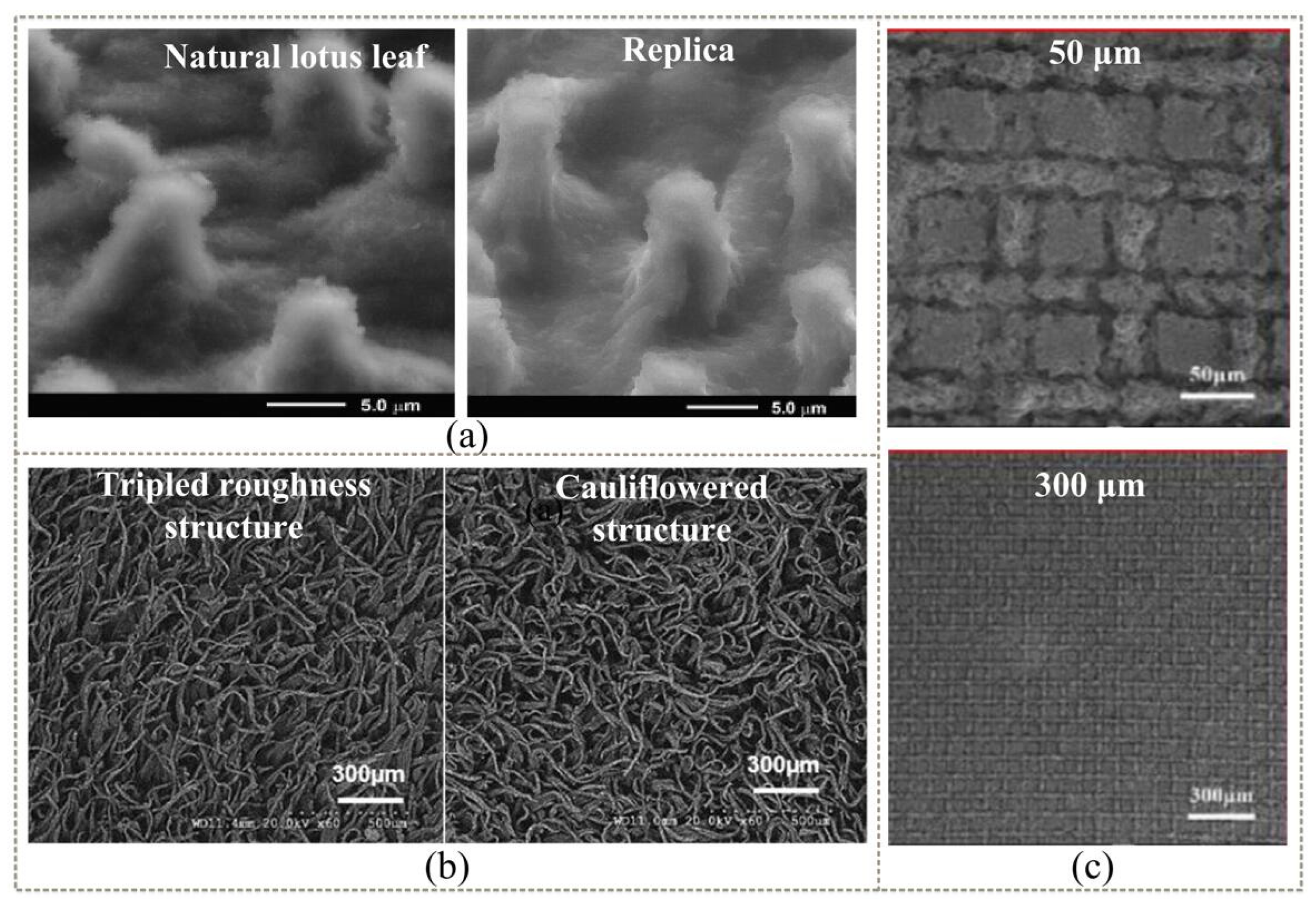 Coatings 12 01469 g003