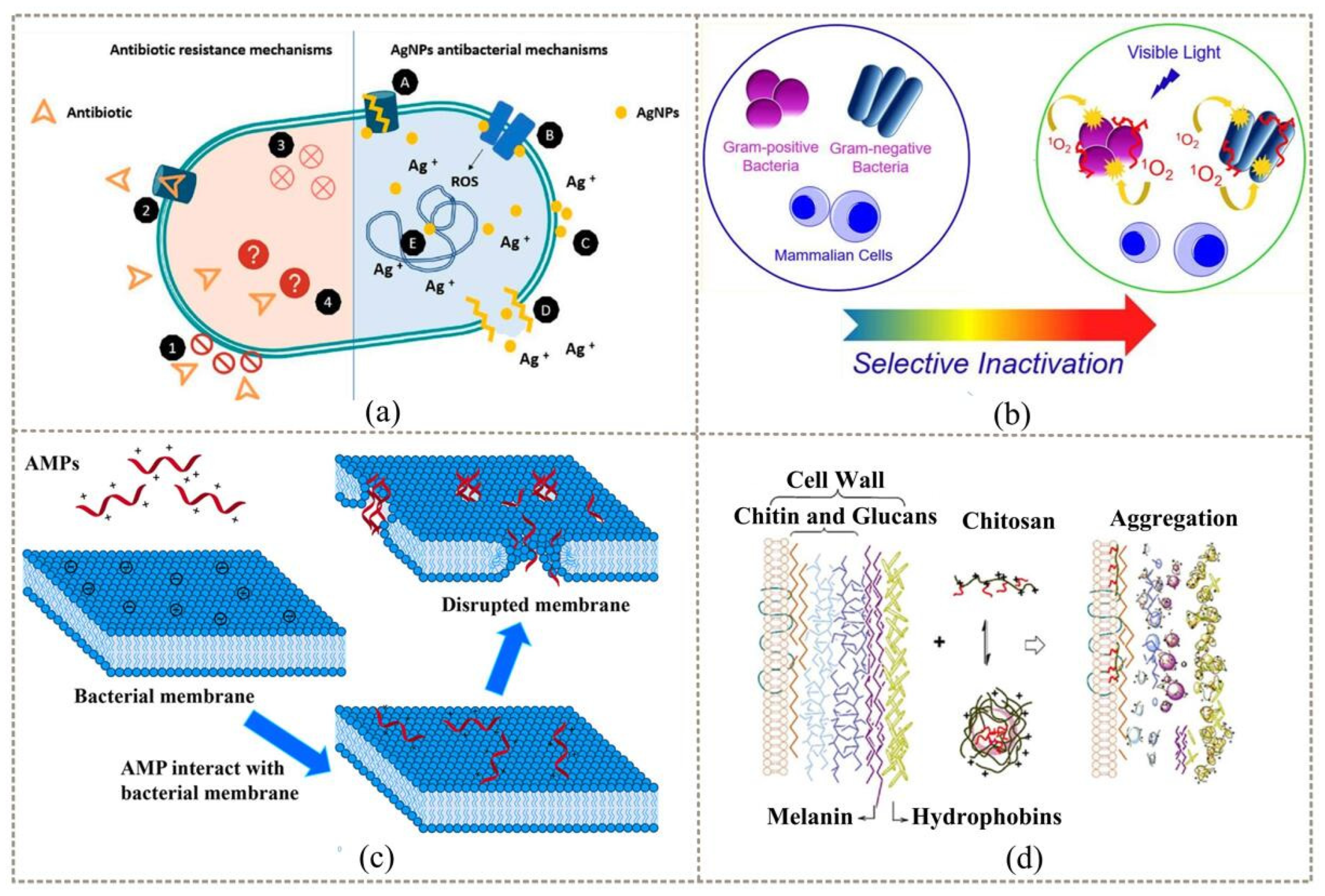 Coatings 12 01469 g006