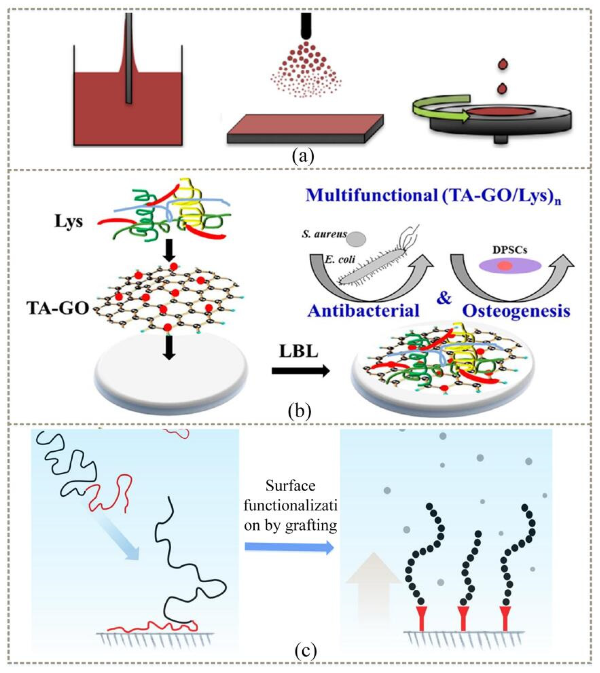 Coatings 12 01469 g007
