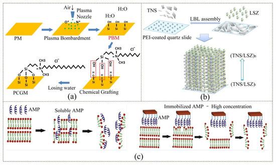 Coatings 12 01469 g008