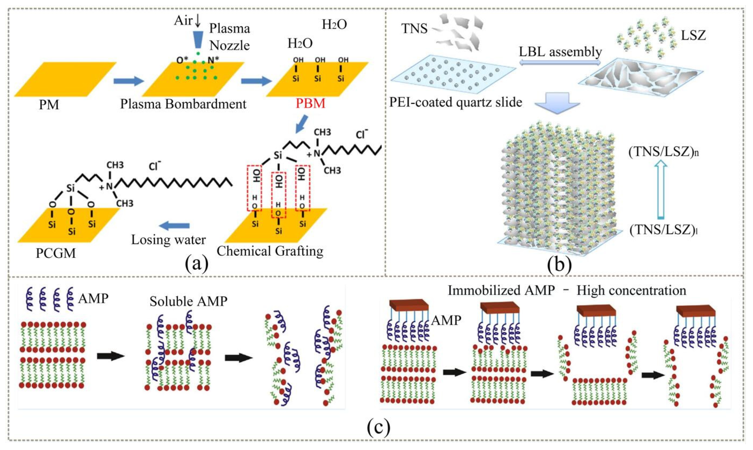 Coatings 12 01469 g008