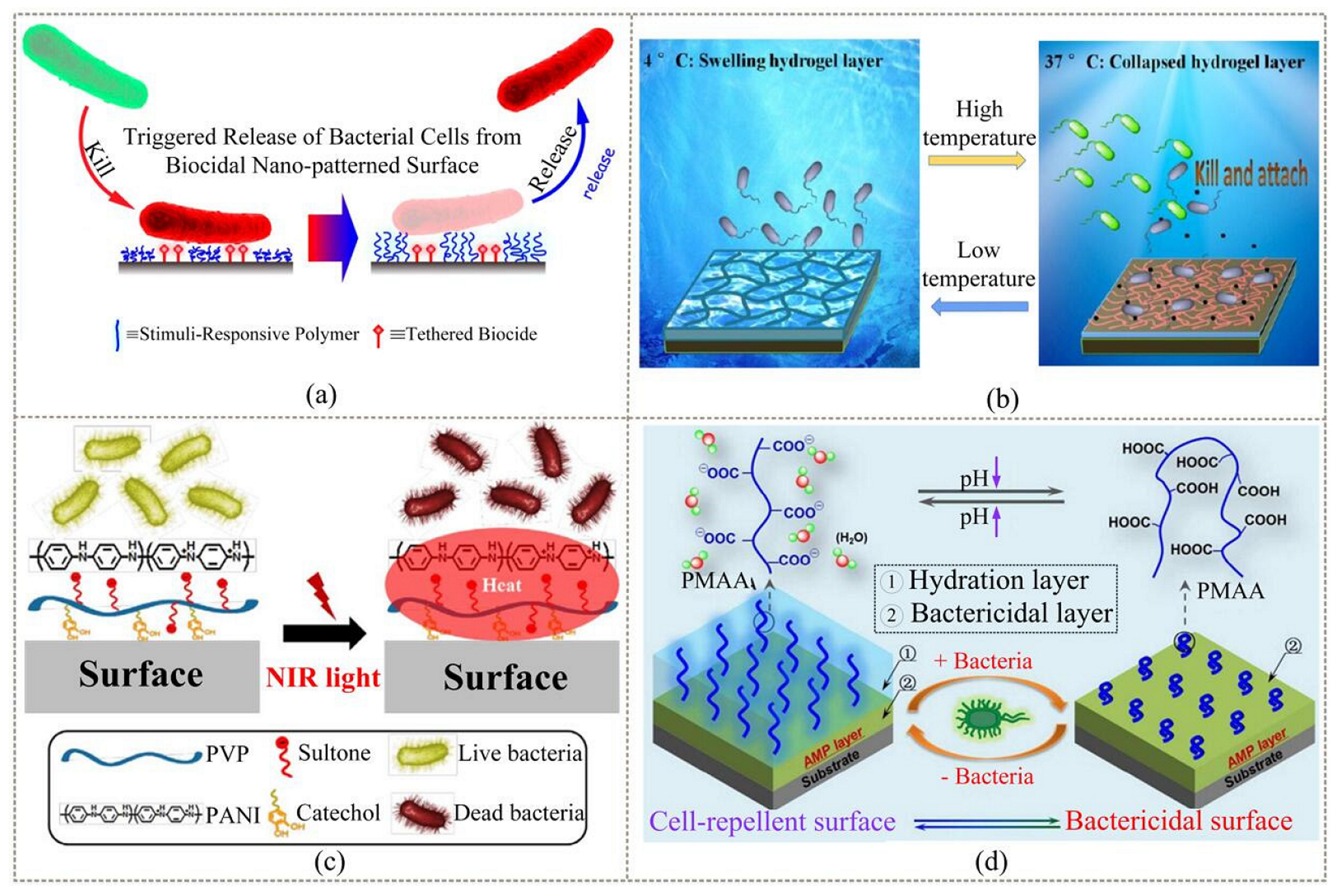 Coatings 12 01469 g010
