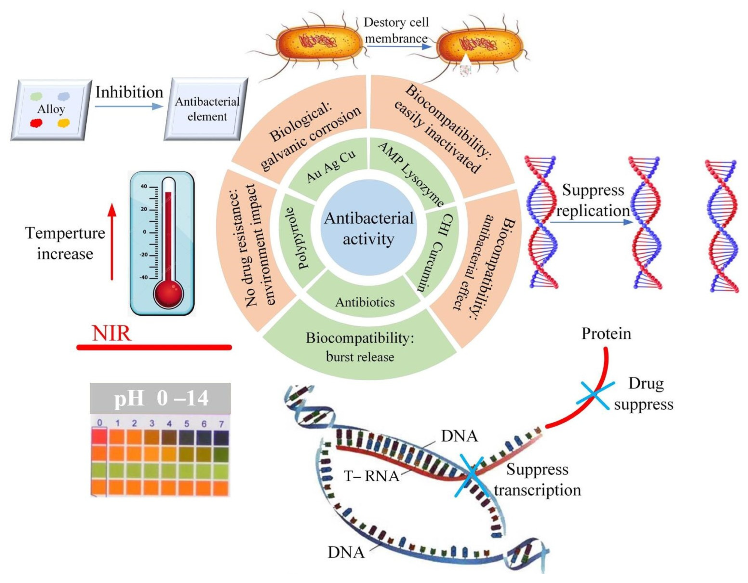 Coatings 12 01469 g014