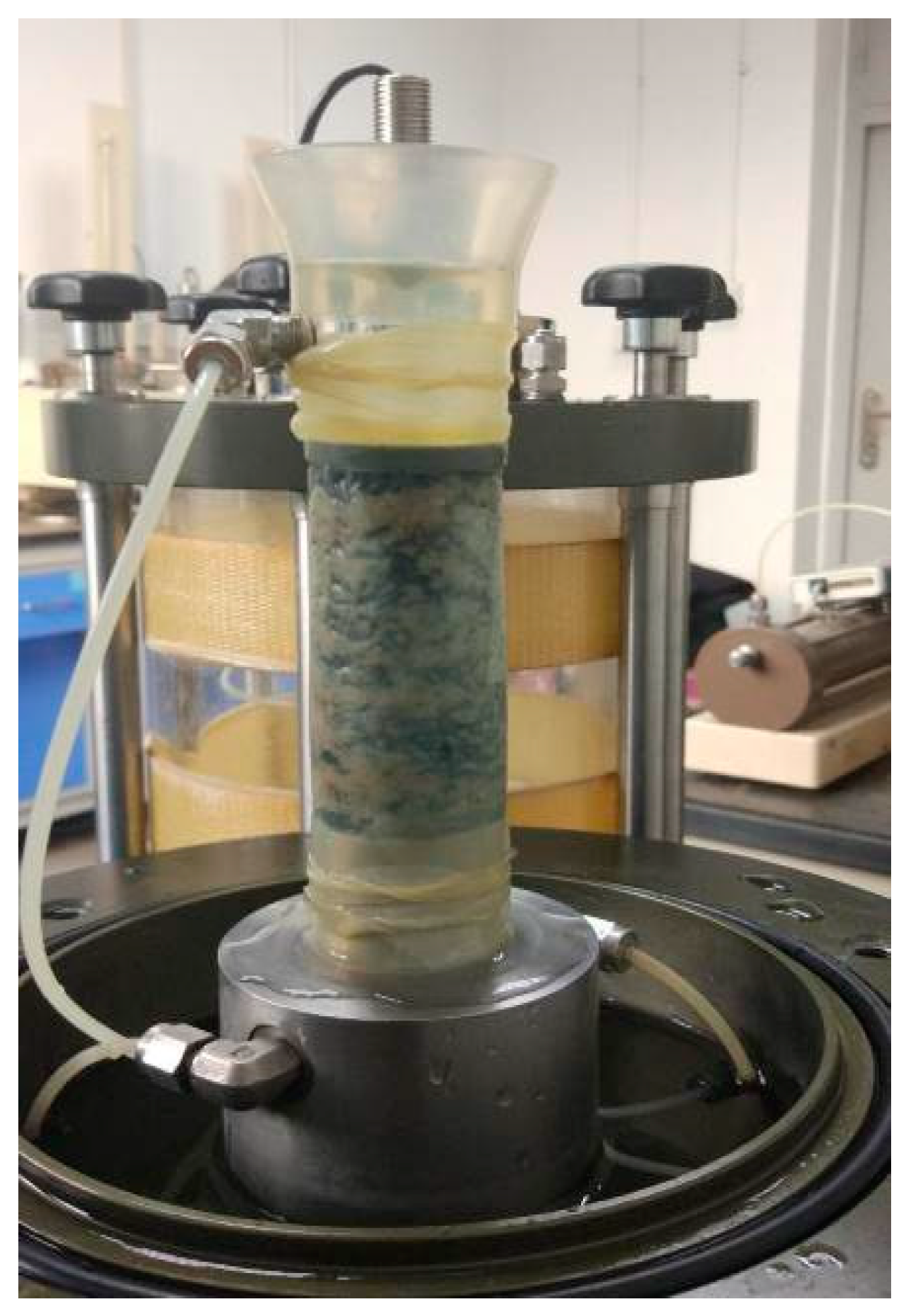 Coatings 12 01470 g006