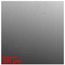 Coatings 12 01484 i008 Coatings 12 01484 i008