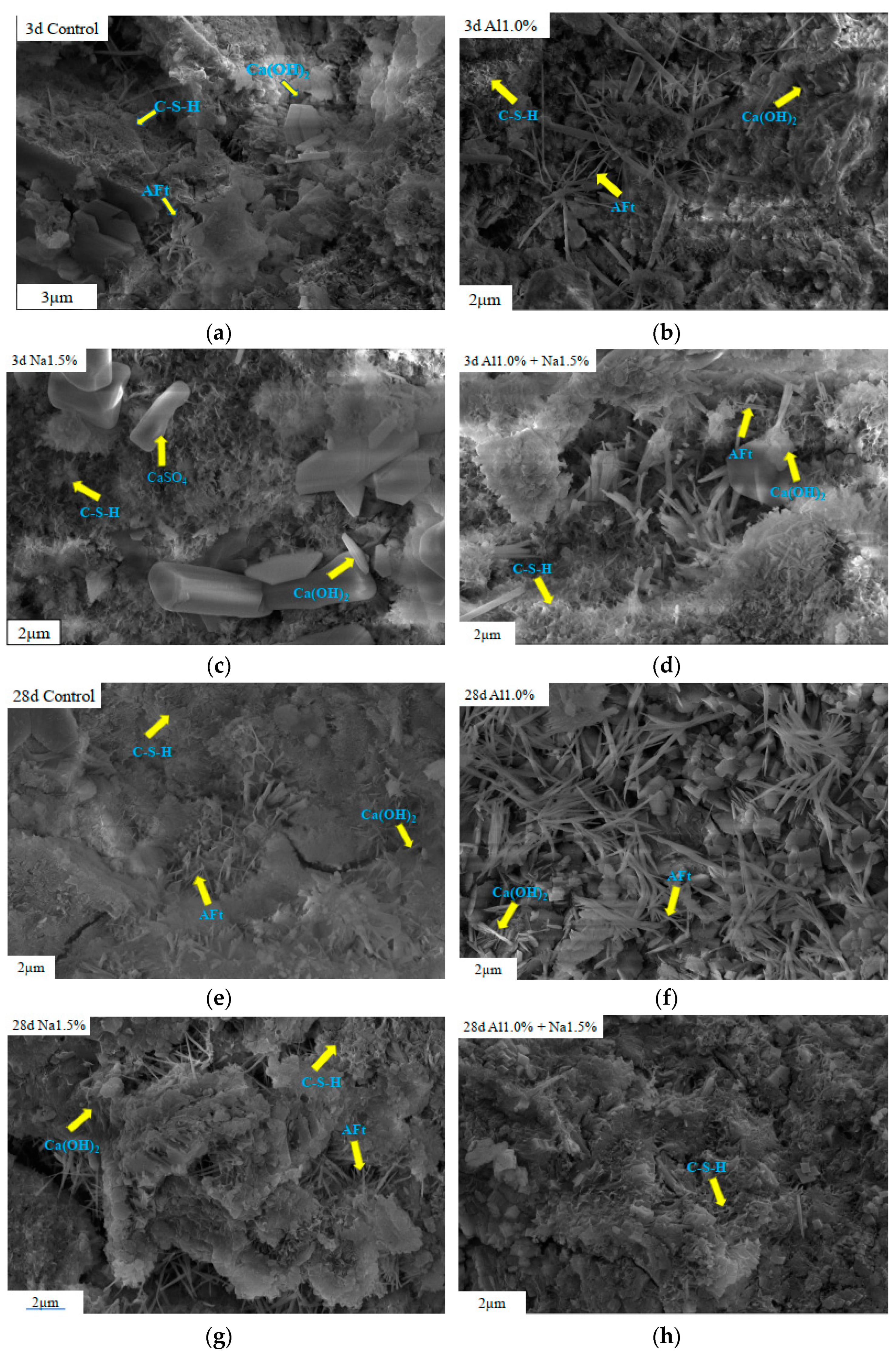 Coatings 12 01485 g006