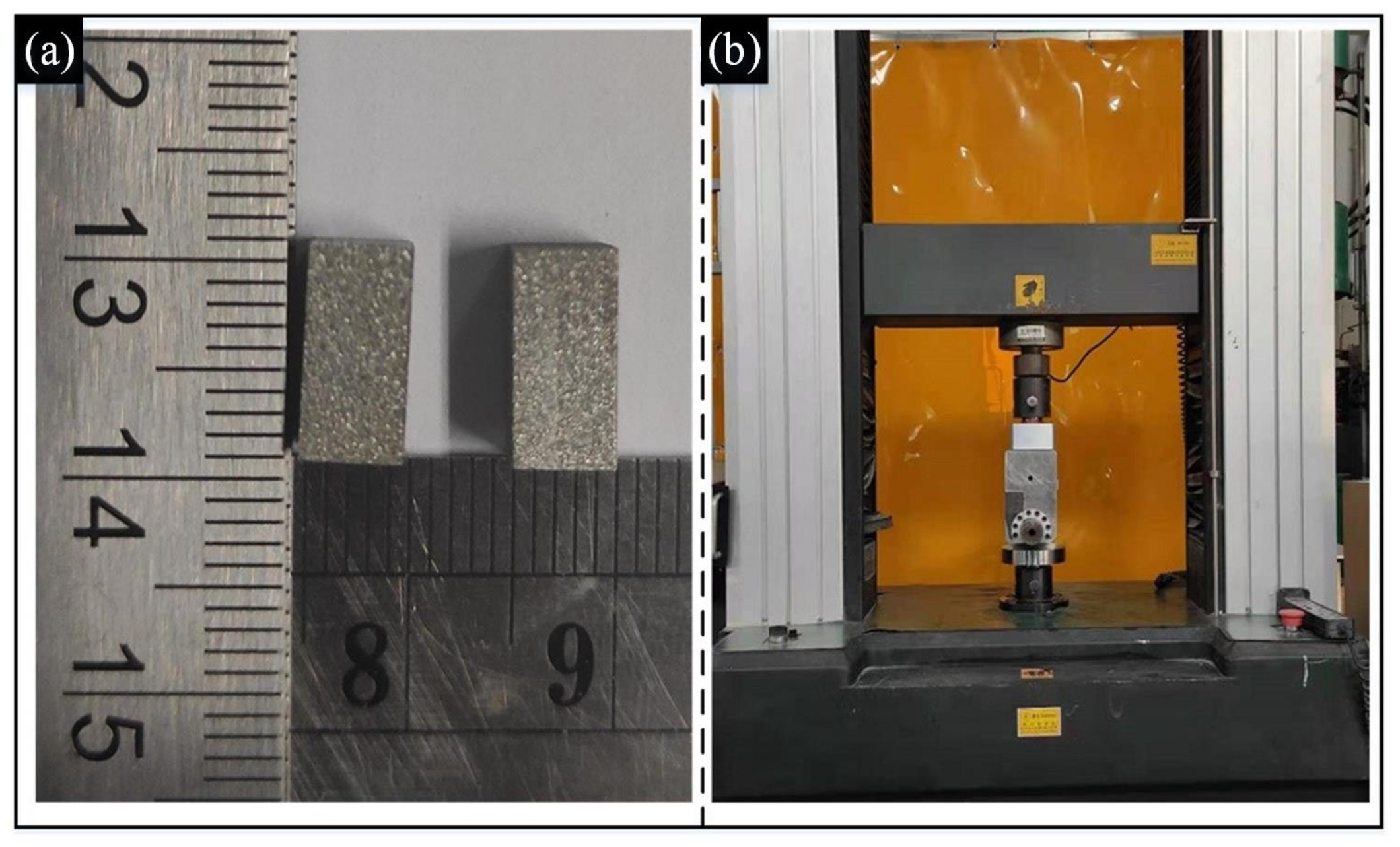 Coatings 12 01490 g004