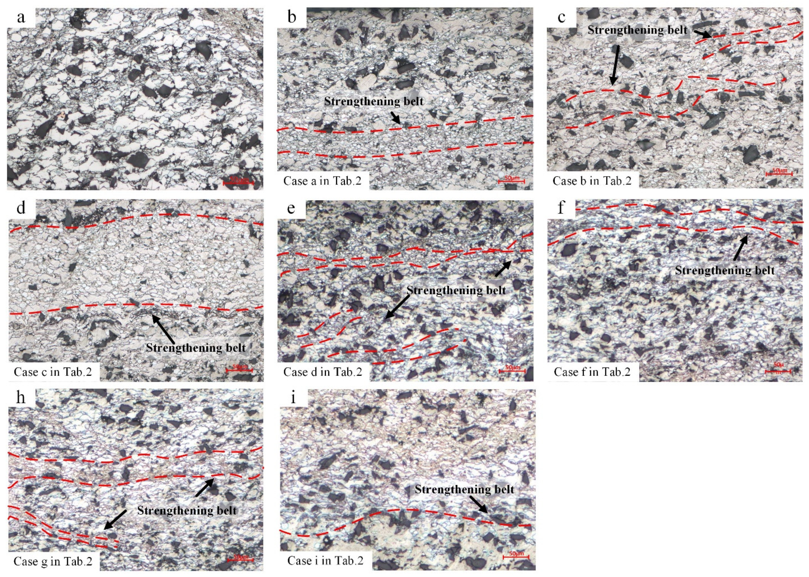 Coatings 12 01490 g012