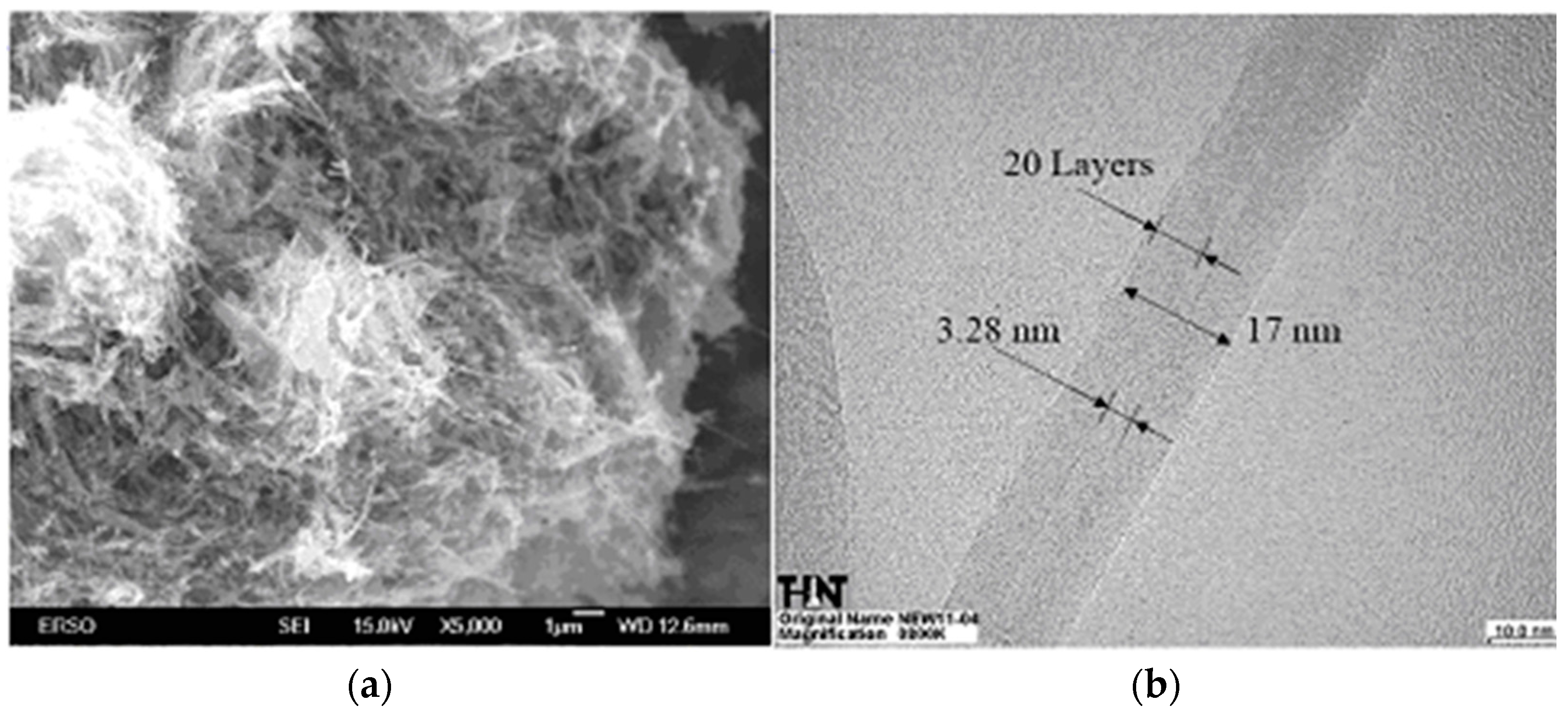 Coatings 12 01497 g001