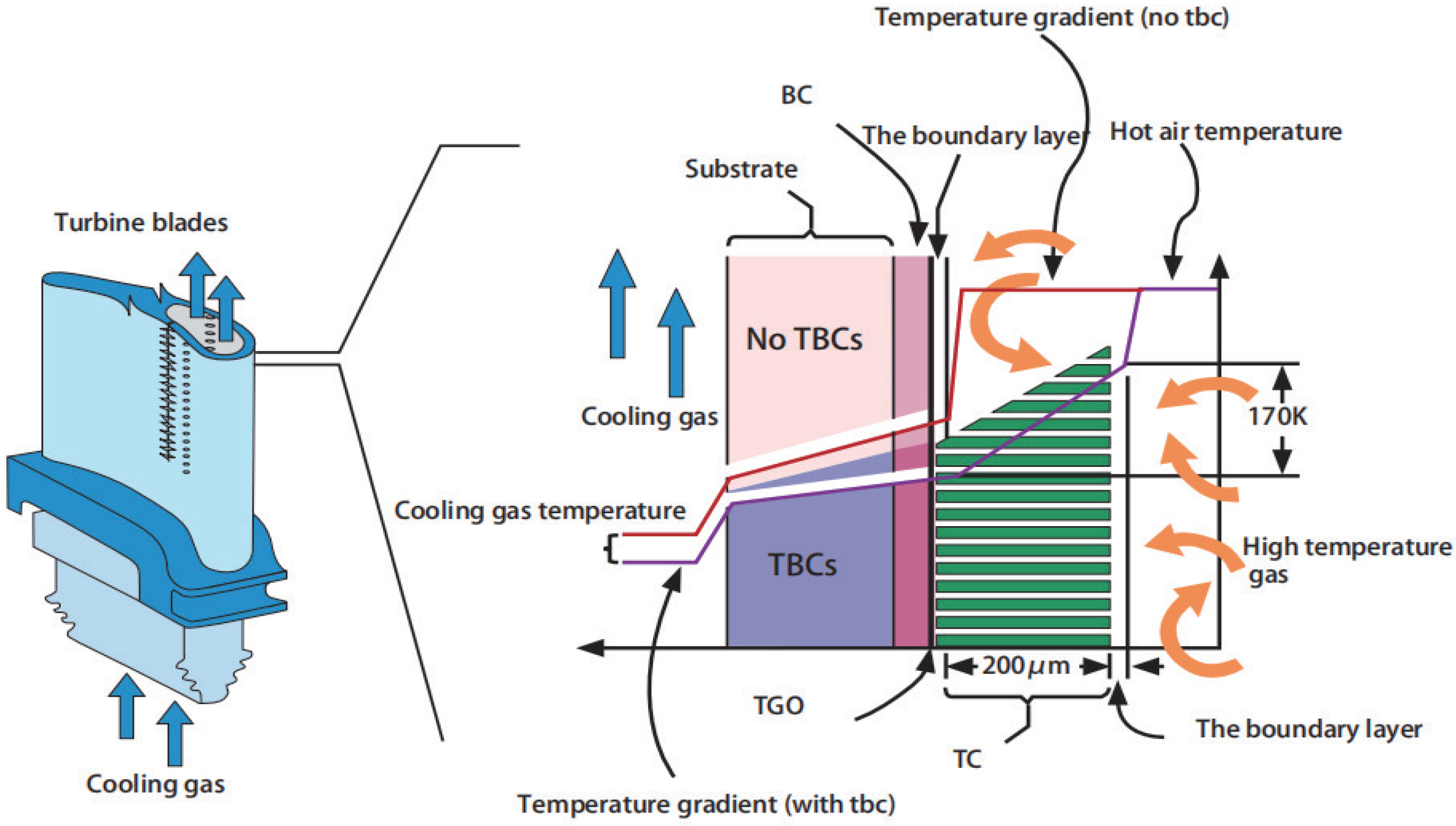 Coatings 12 01498 g007