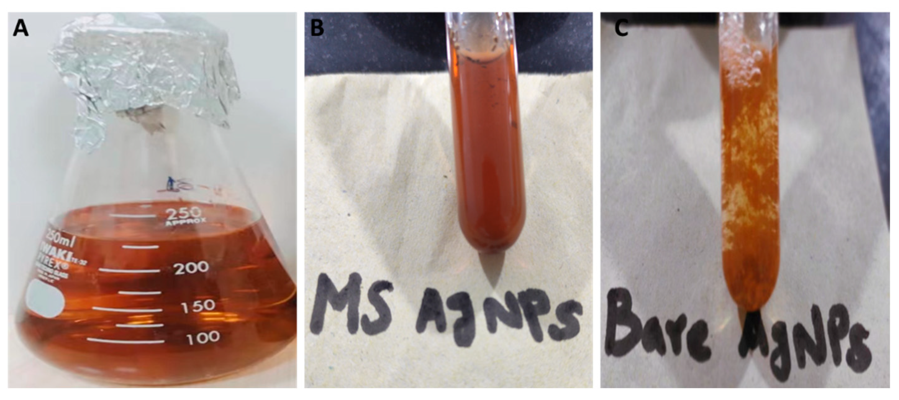 Coatings 12 01505 g001 Coatings 12 01505 g001