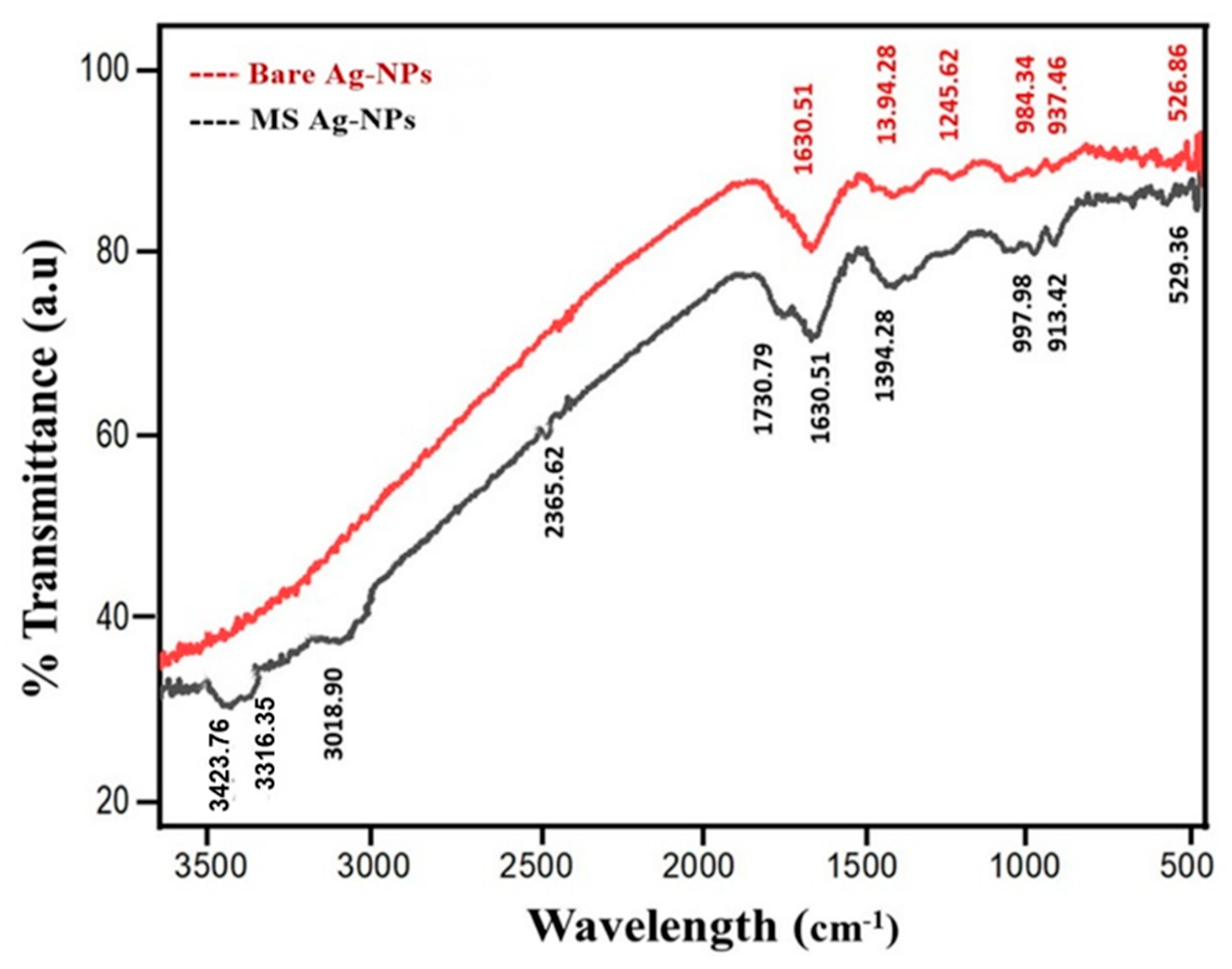 Coatings 12 01505 g003 Coatings 12 01505 g003