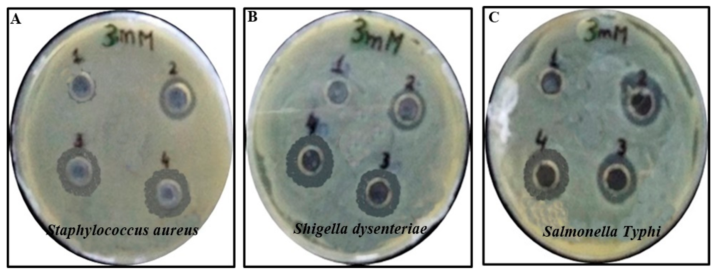 Coatings 12 01505 g007 Coatings 12 01505 g007