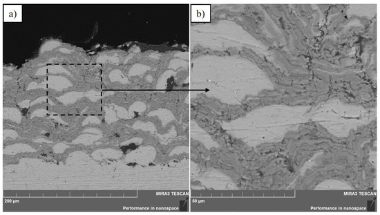 Coatings 12 01511 g004