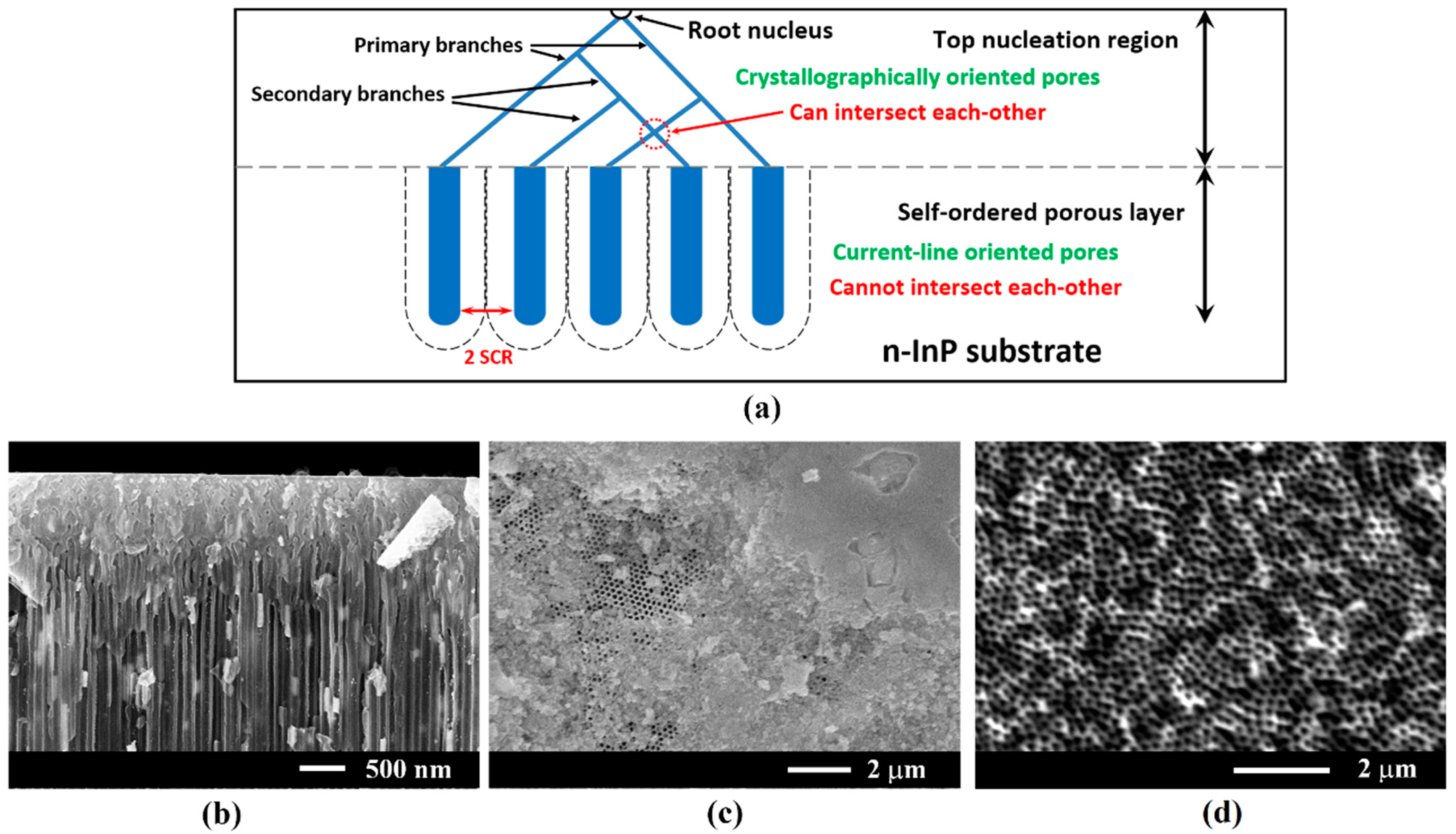 Coatings 12 01521 g002