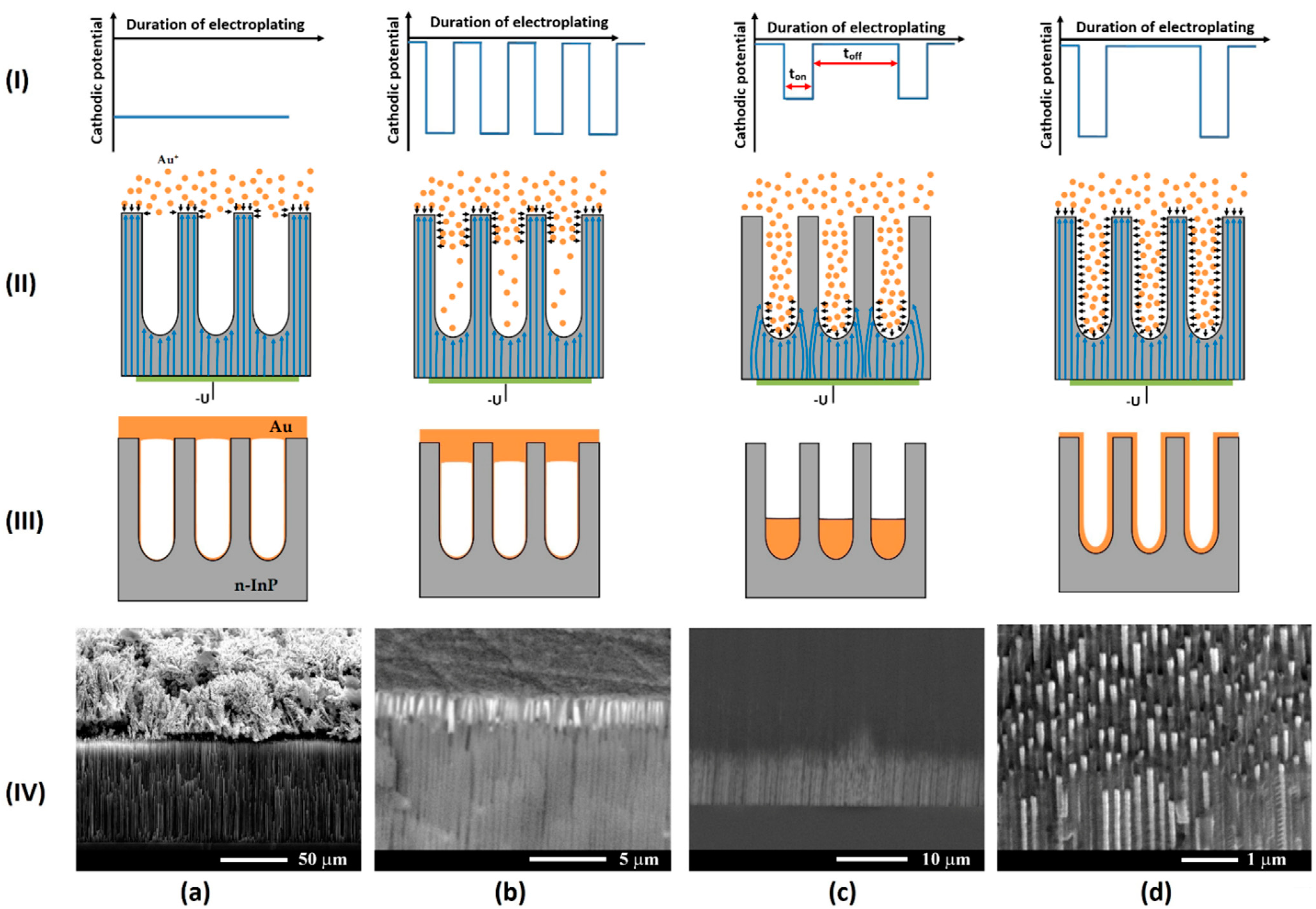 Coatings 12 01521 g003